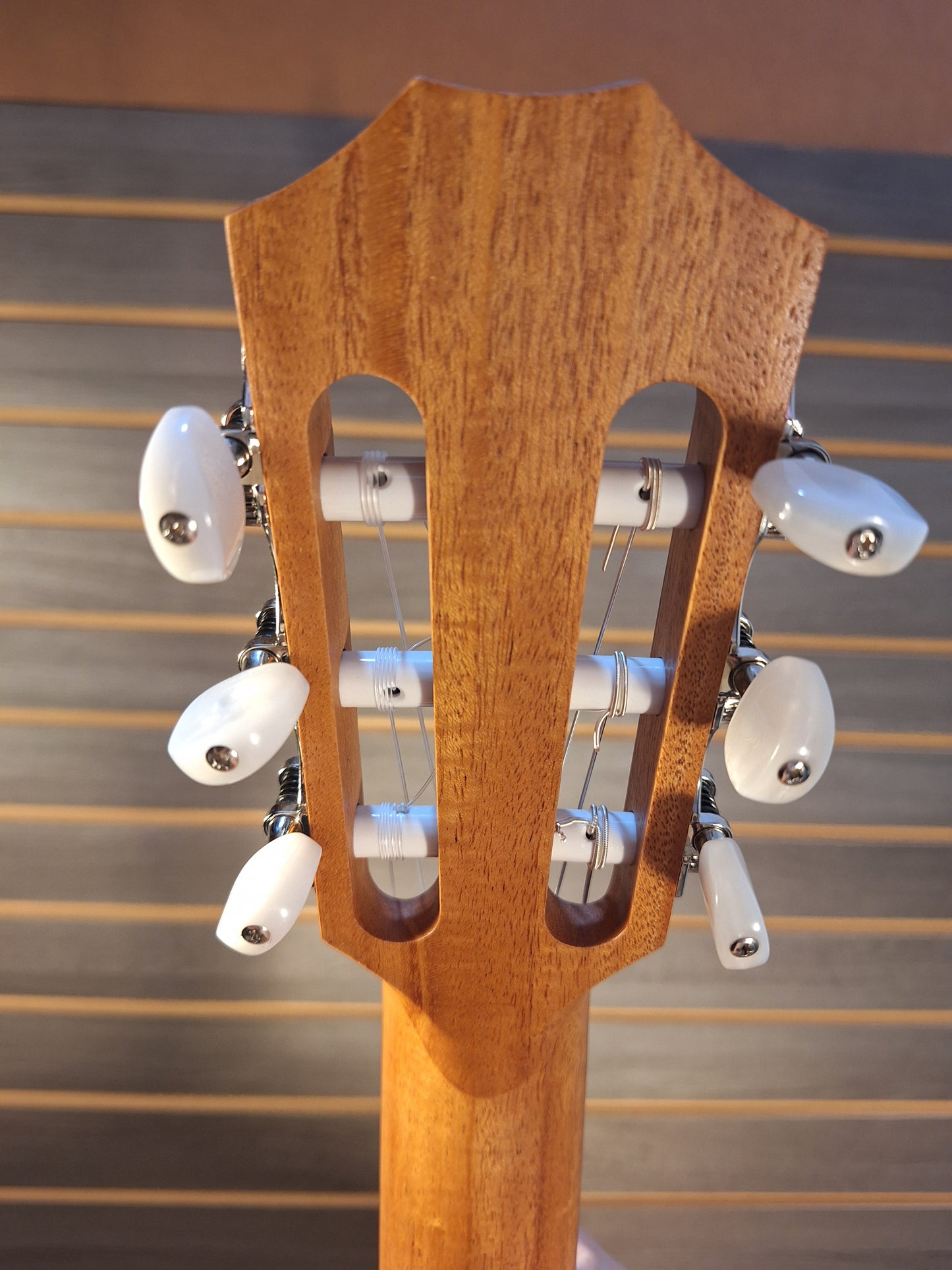 Taylor 12e-N  Academy Acoustic/Electric Guitar