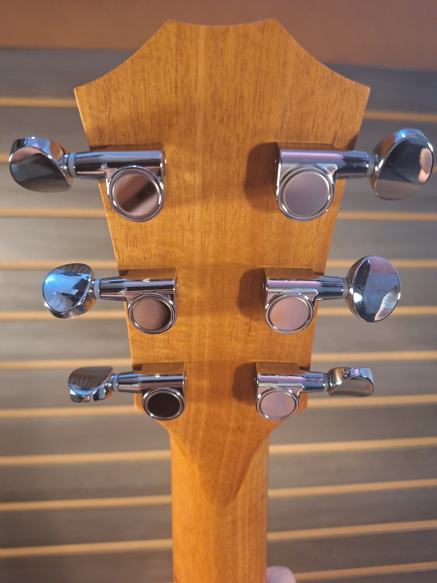 Taylor GS Mini Sapele  Acoustic Guitar