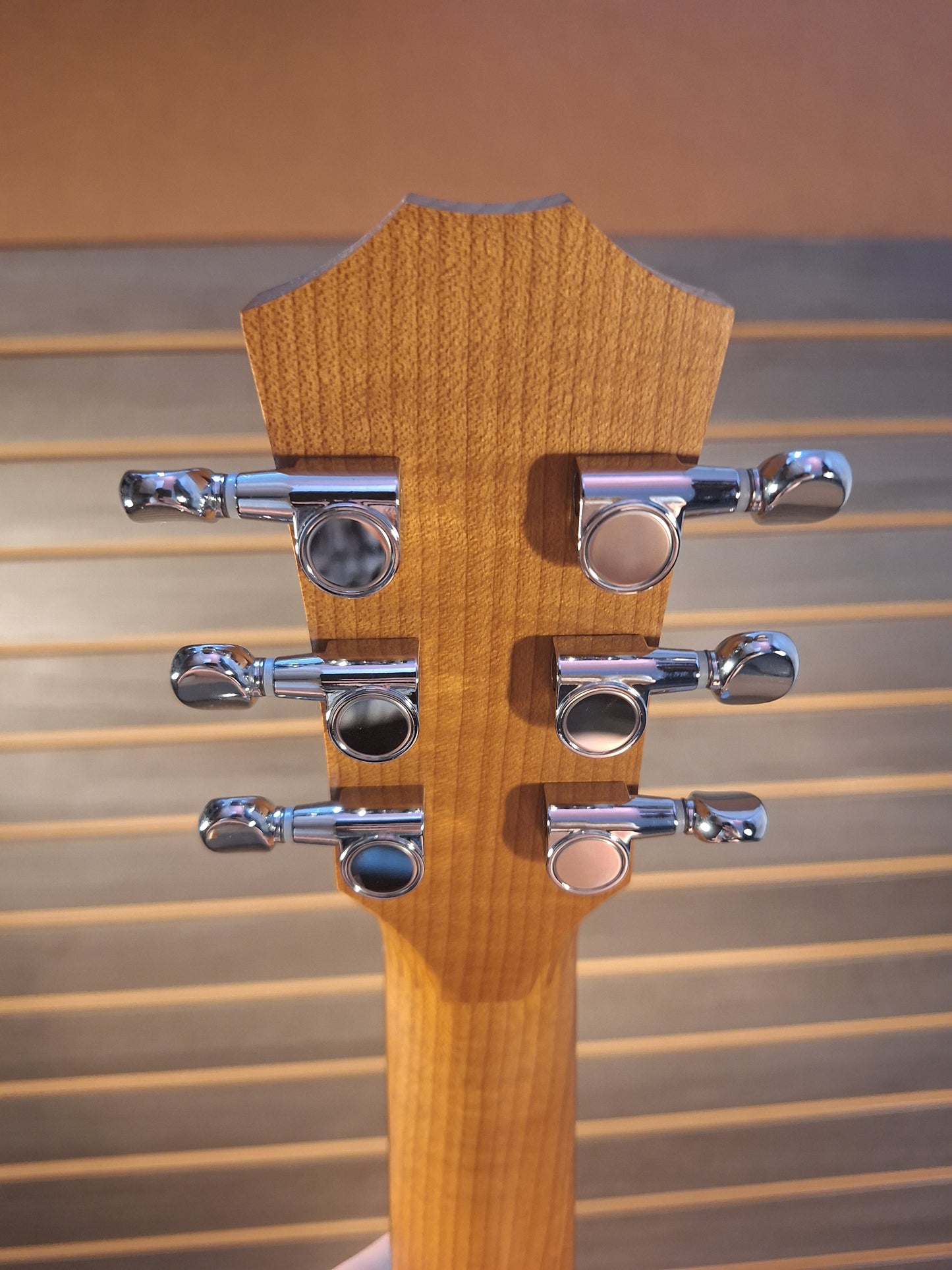 Taylor Baby BT1 Acoustic Guitar