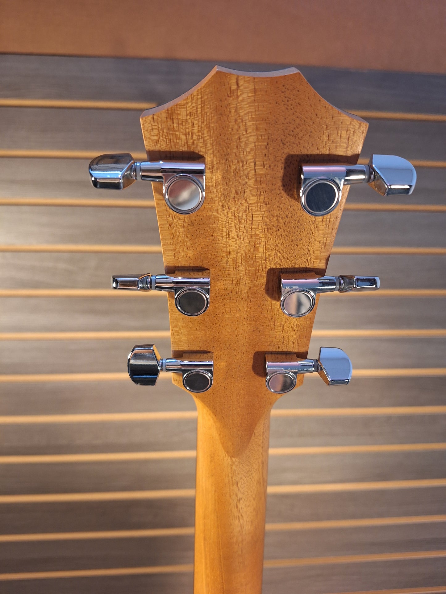 Taylor 214ce Acoustic/Electric Guitar