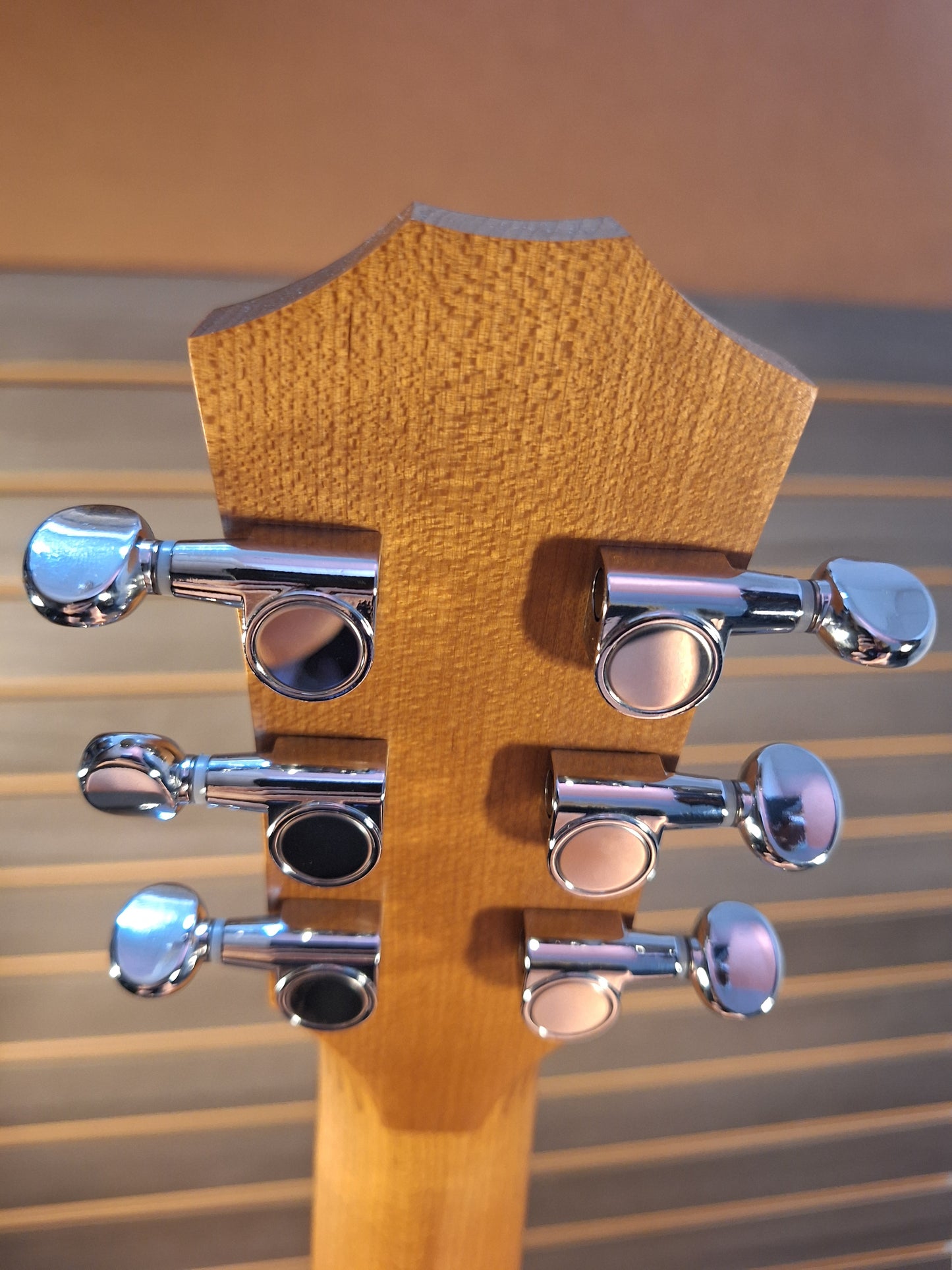 Taylor Baby BT1e Acoustic/Electric Guitar