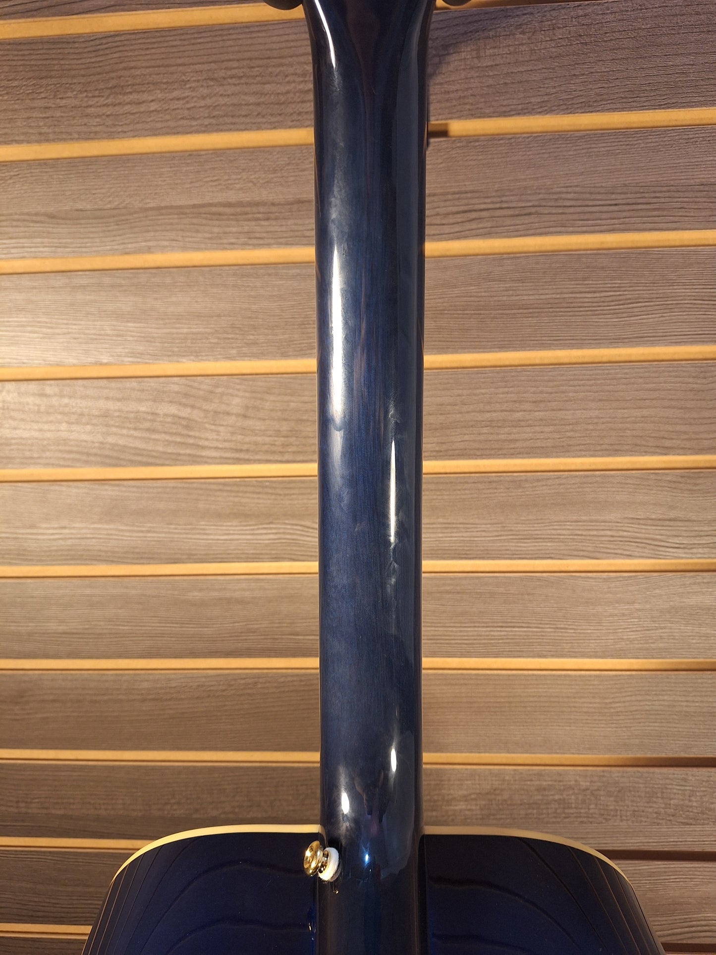 Epiphone Miranda Lambert Blue Bird With Hard Case