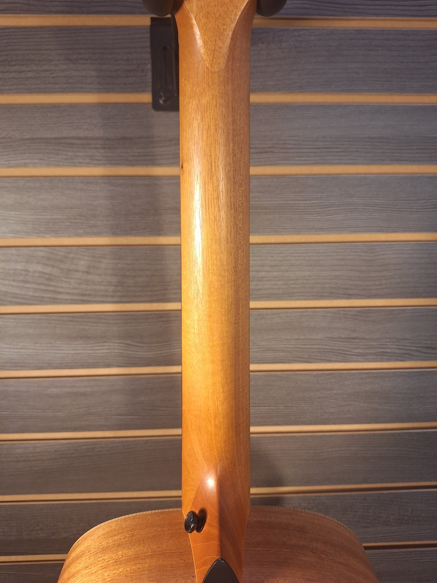 Taylor GS Mini Sapele  Acoustic Guitar