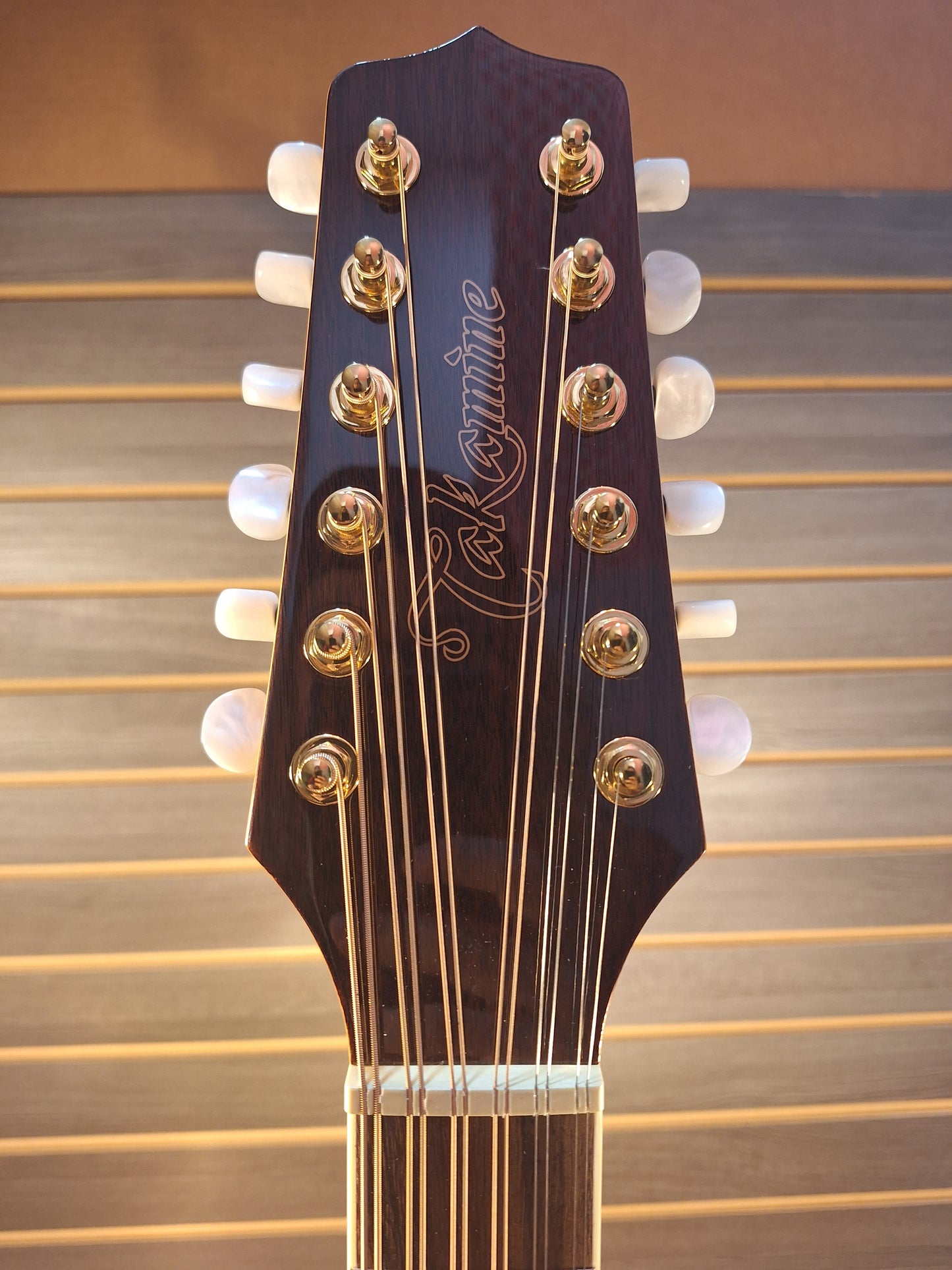 Takamine GD74CE-12U Natural With Gig Bag