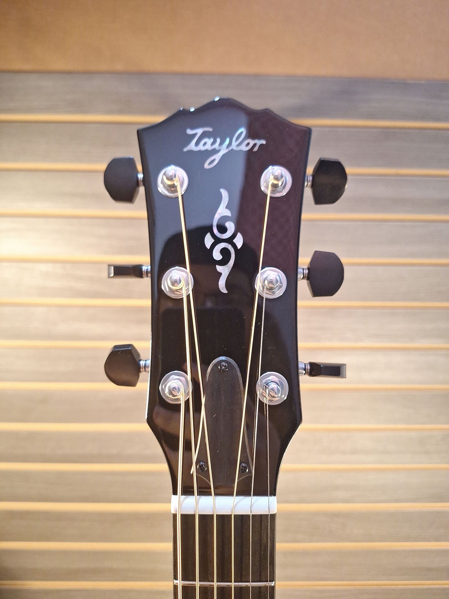 Taylor Gold Label 814e SB Guitar