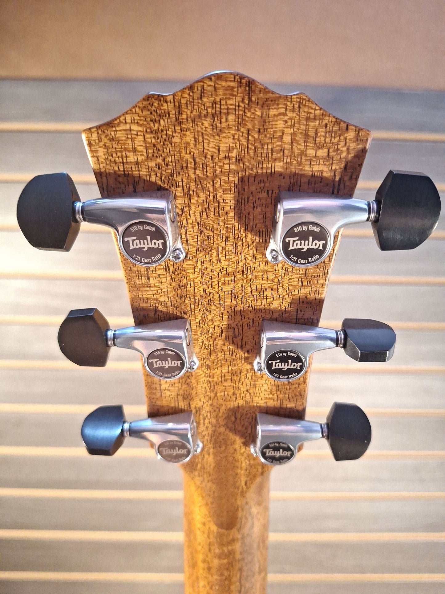 Taylor Gold Label 814e SB Guitar