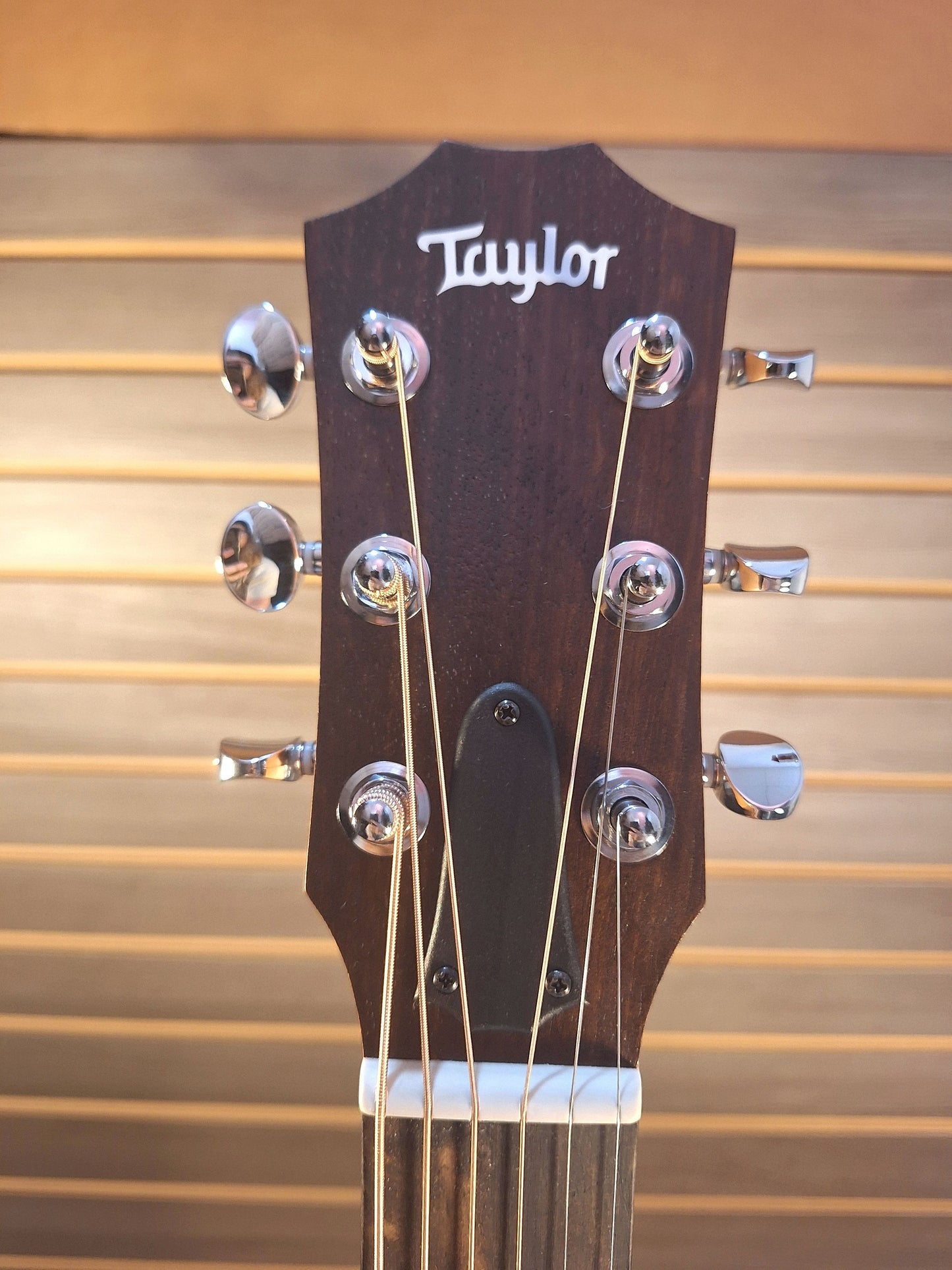 Taylor GS Mini-e Rosewood SB Electric/Acoustic Guitar