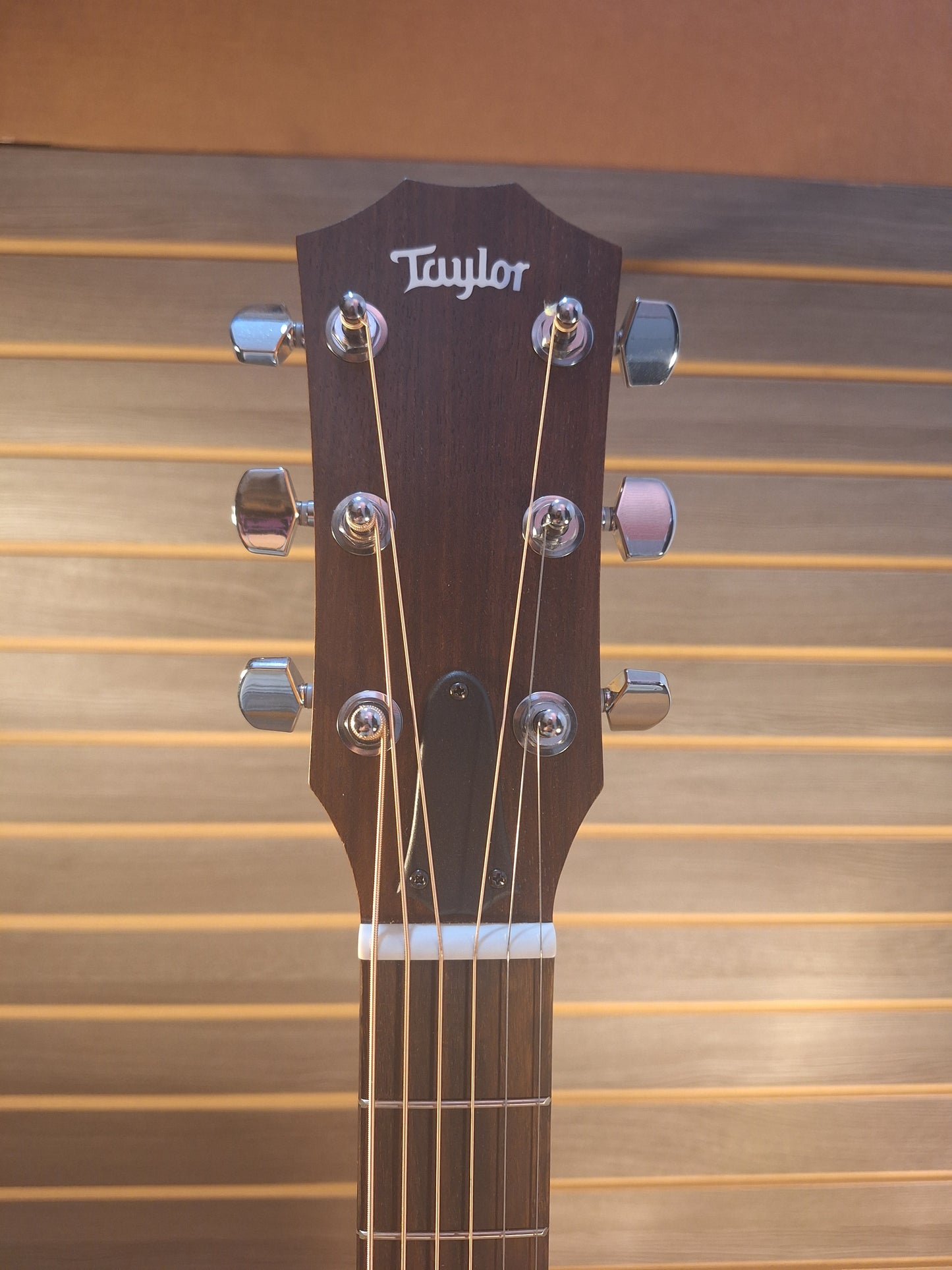 Taylor Academy 10e Acoustic/Electric Guitar