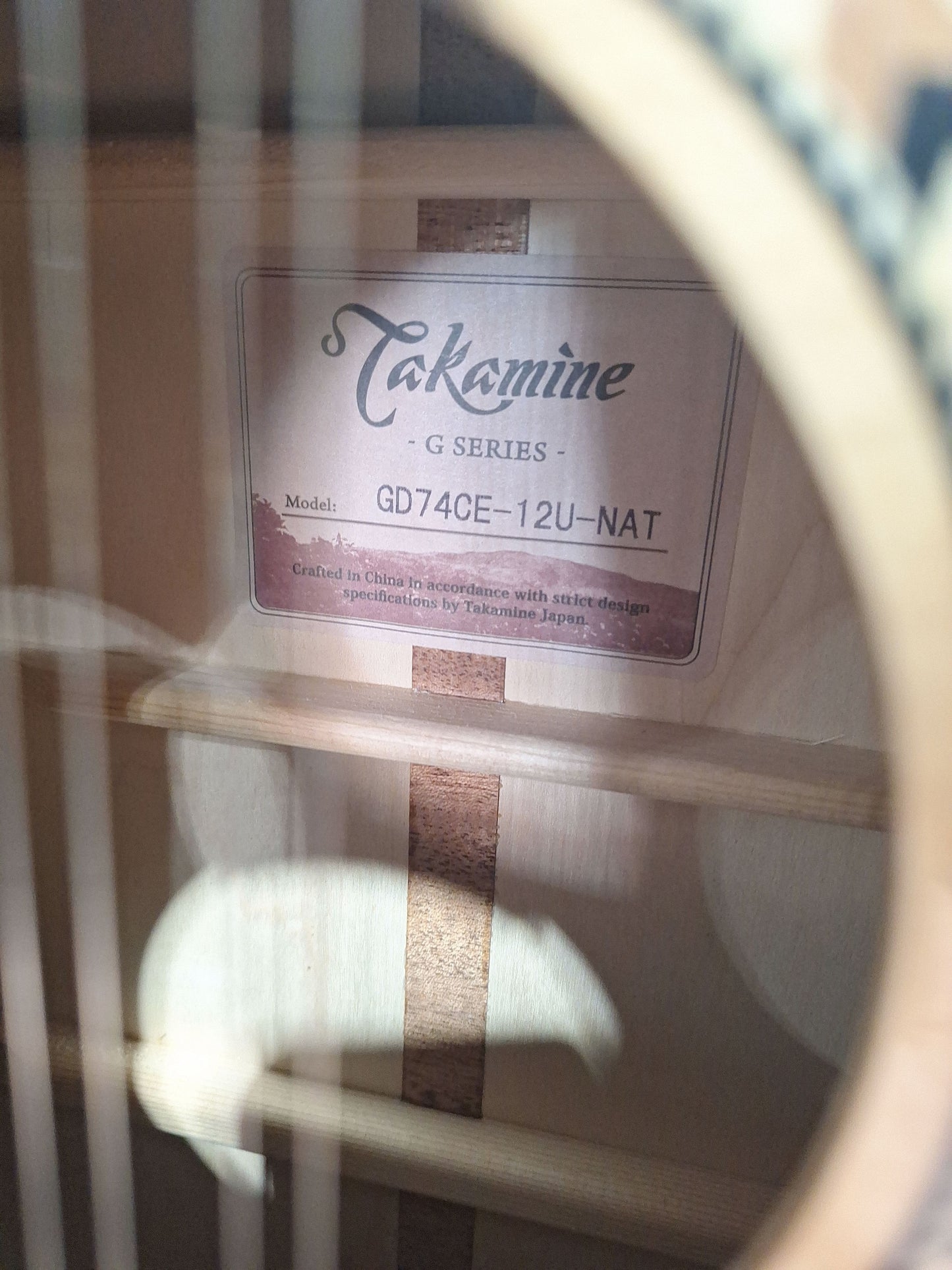 Takamine GD74CE-12U Natural With Gig Bag