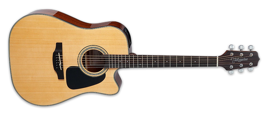 (Photos coming soon)Takamine  GD20 NS