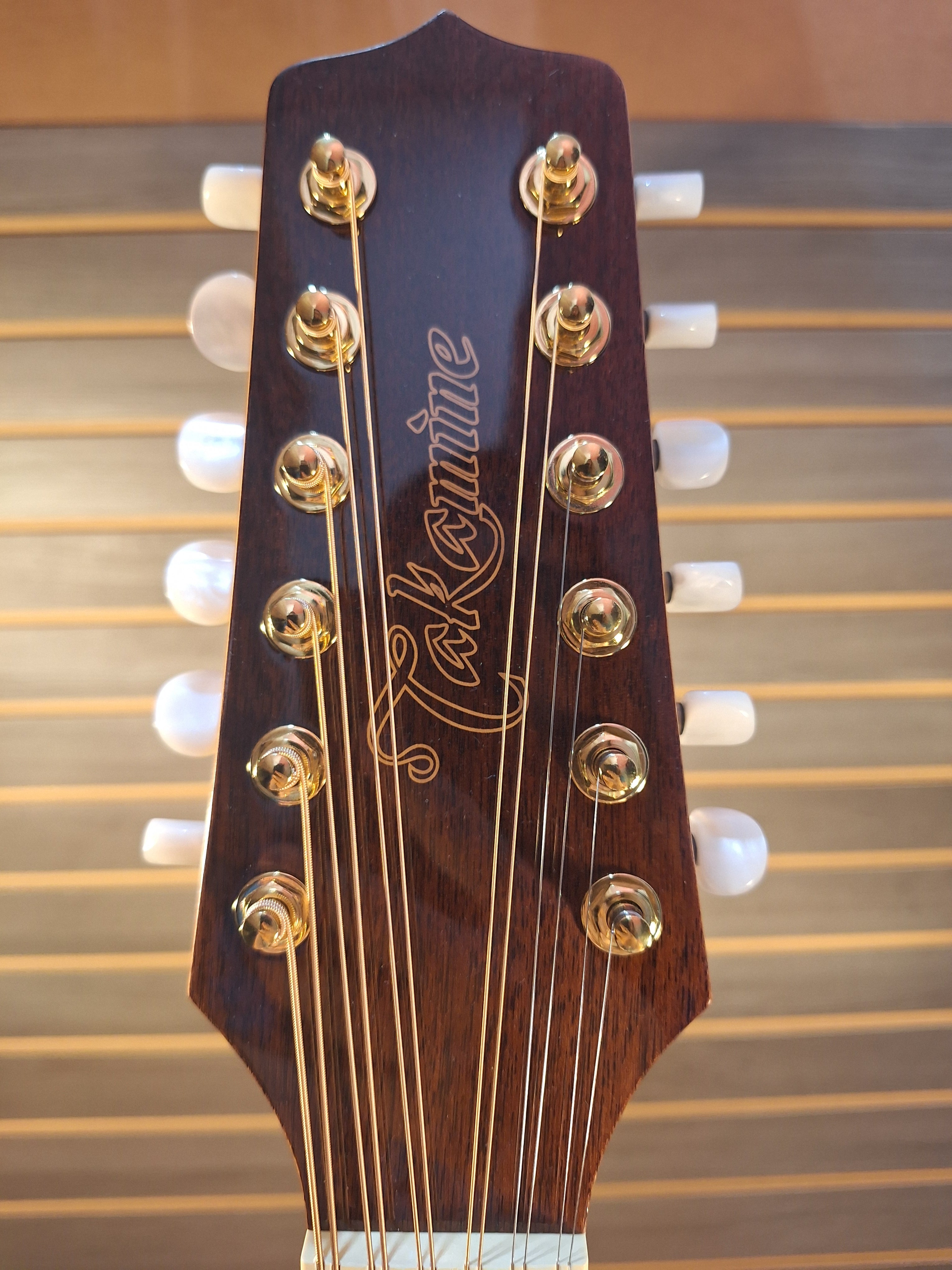 Takamine GD74CE-12U Natural With Gig Bag – rBc Music Store