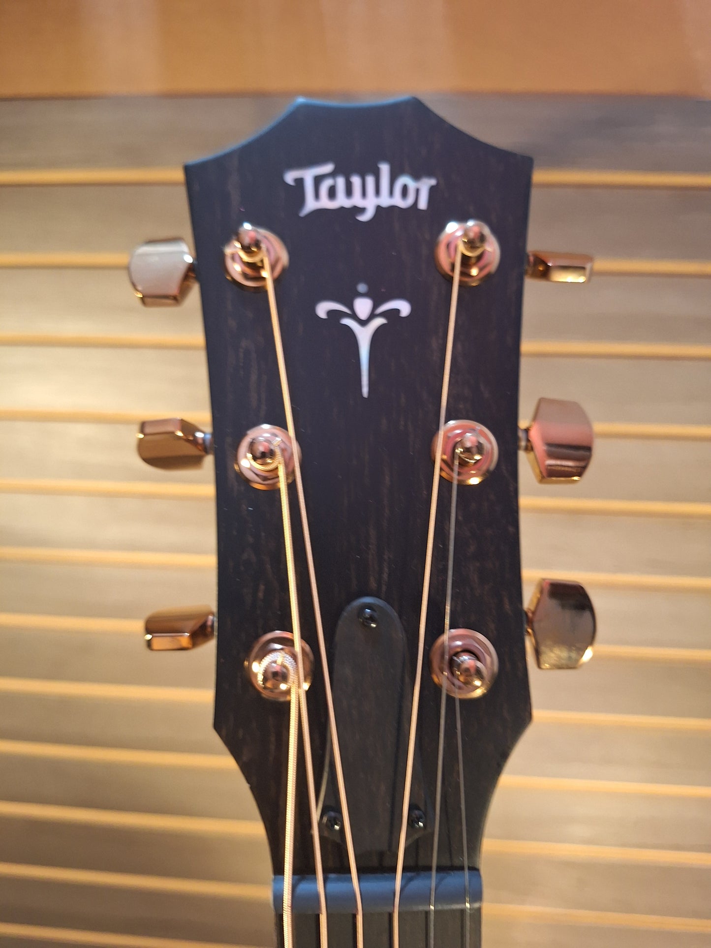 Taylor 724ce Koa Acoustic/Electric Guitar