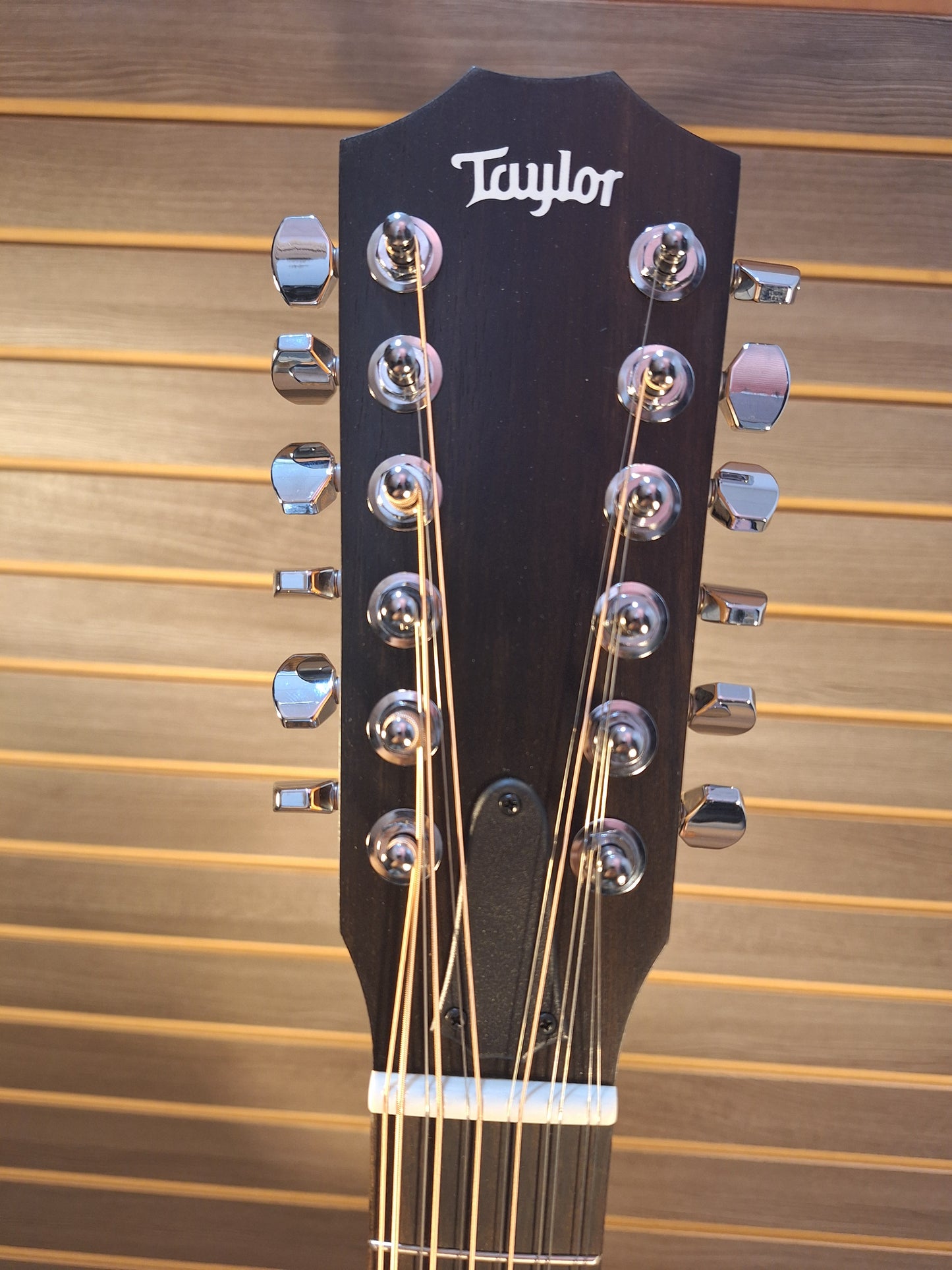 Taylor 150ce 12 String Acoustic Electric Guitar