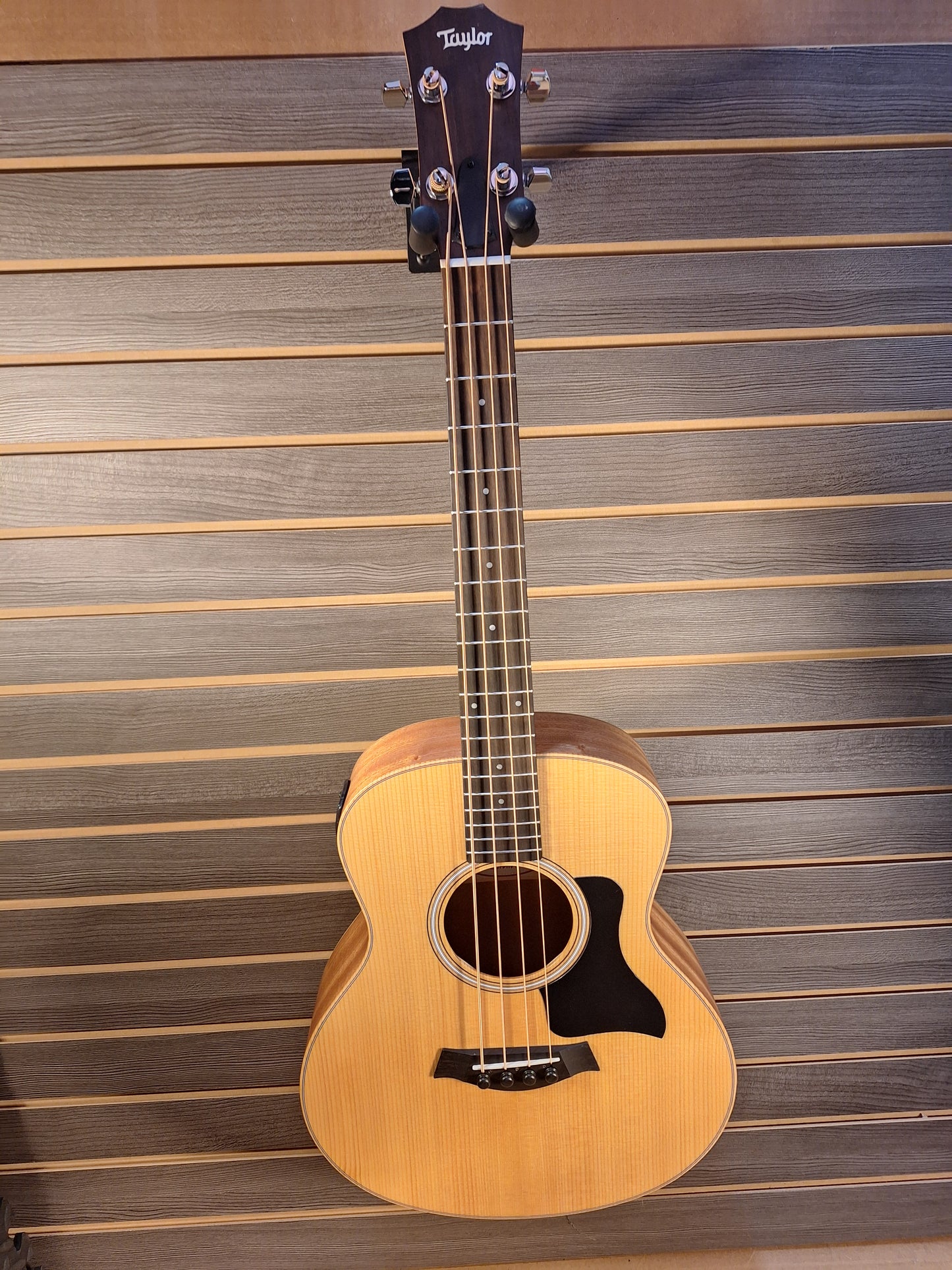 Taylor GS Mini Bass With Gig Bag