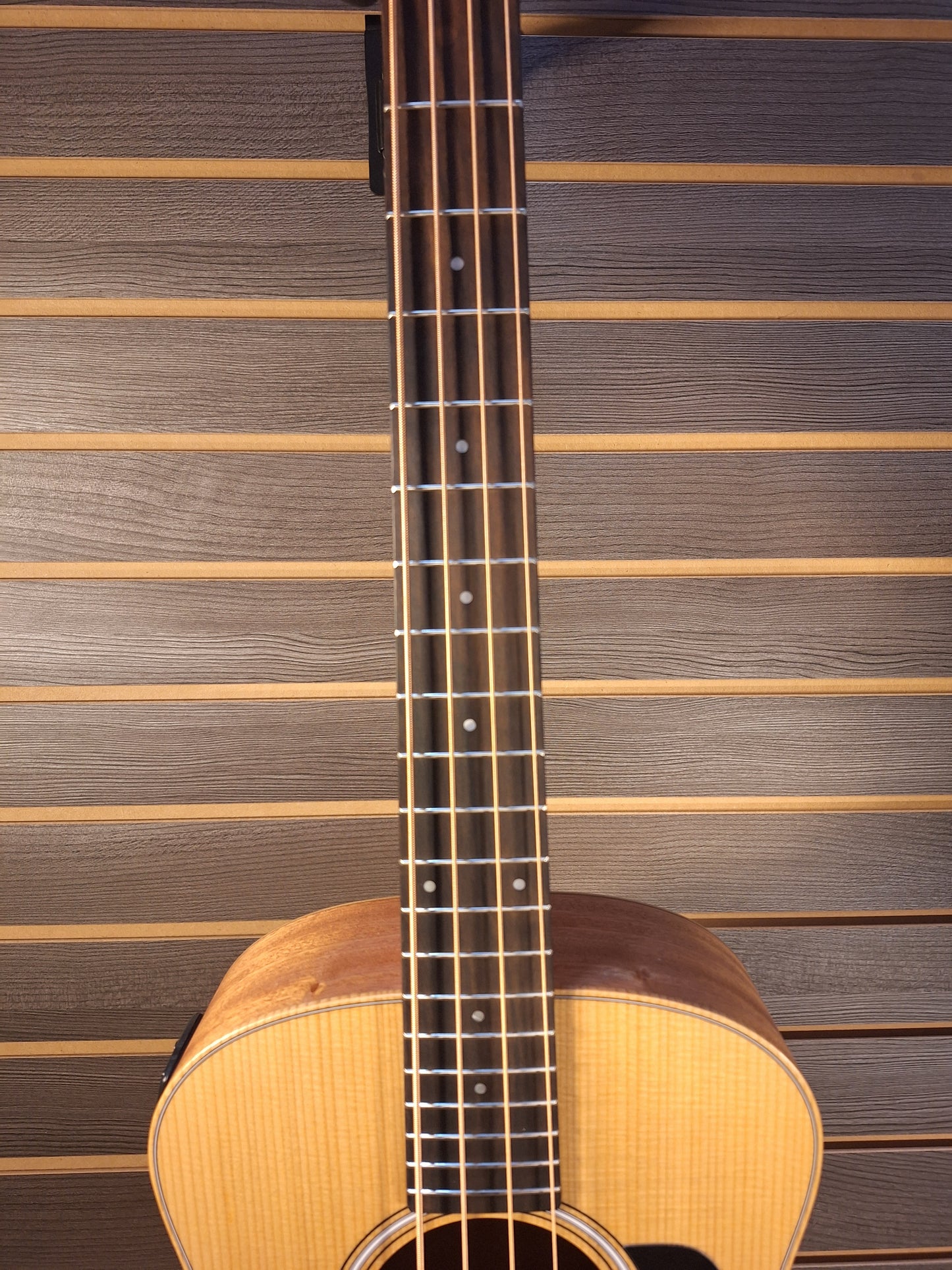 Taylor GS Mini Bass With Gig Bag