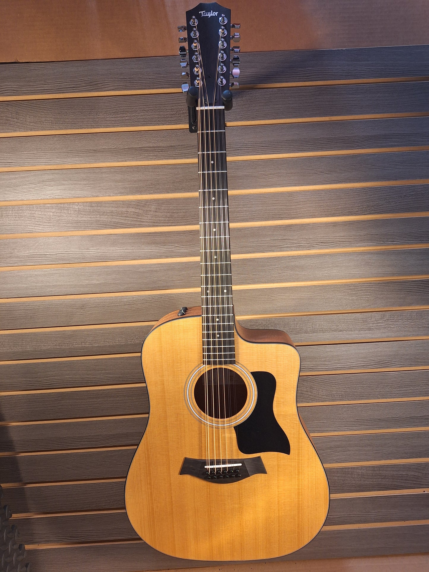 Taylor 150ce 12 string With Gig Bag