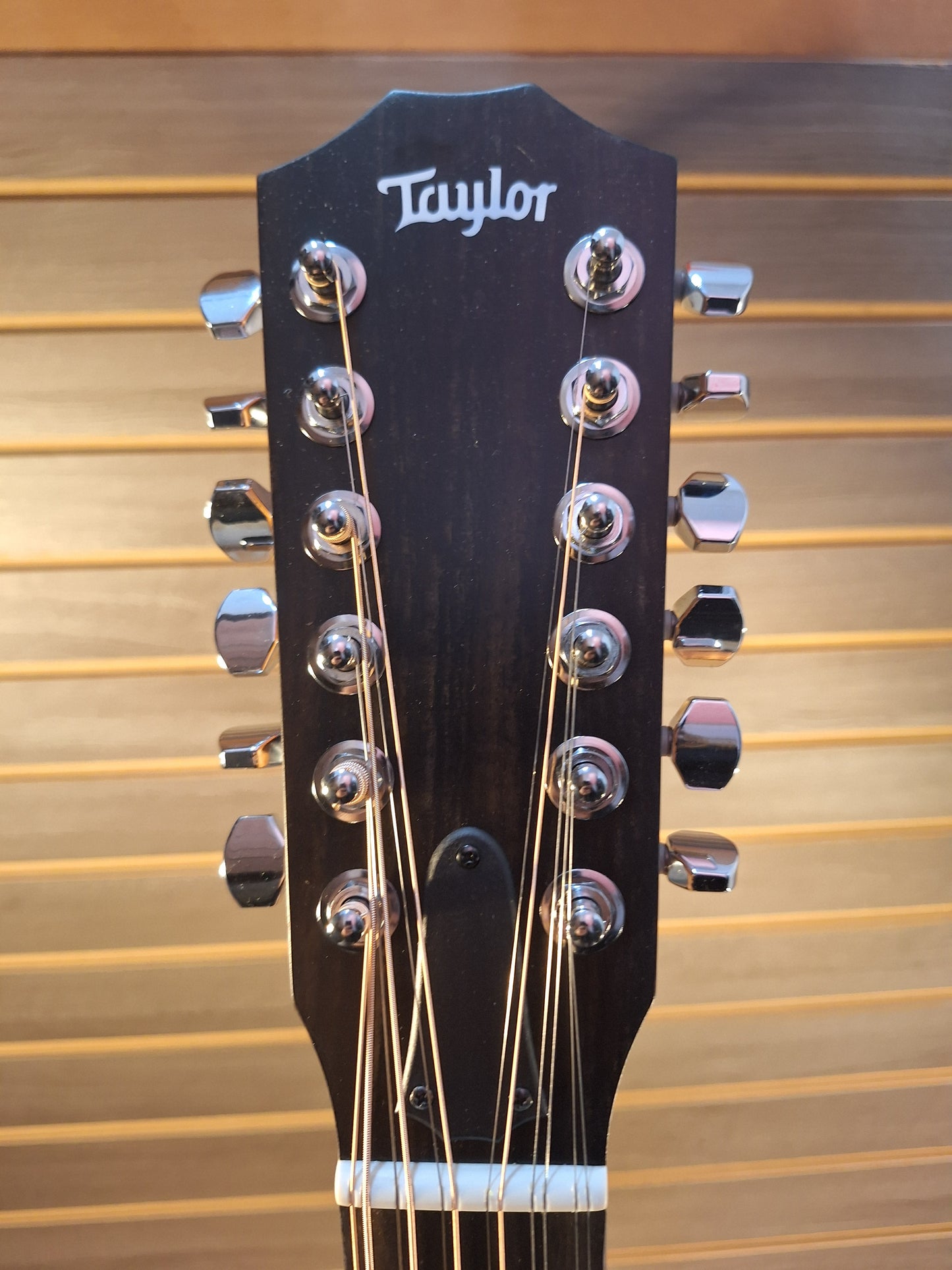 Taylor 150ce 12 string With Gig Bag