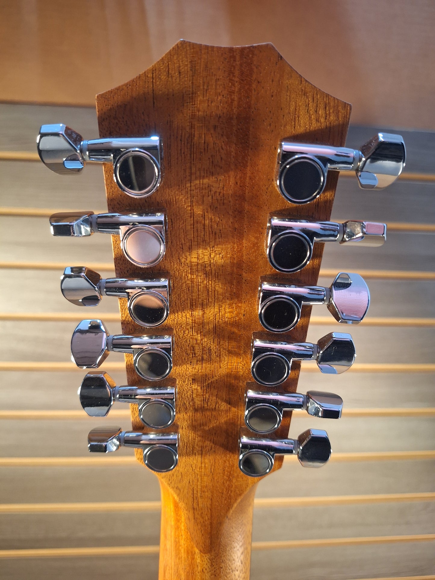 Taylor 150ce 12 string With Gig Bag