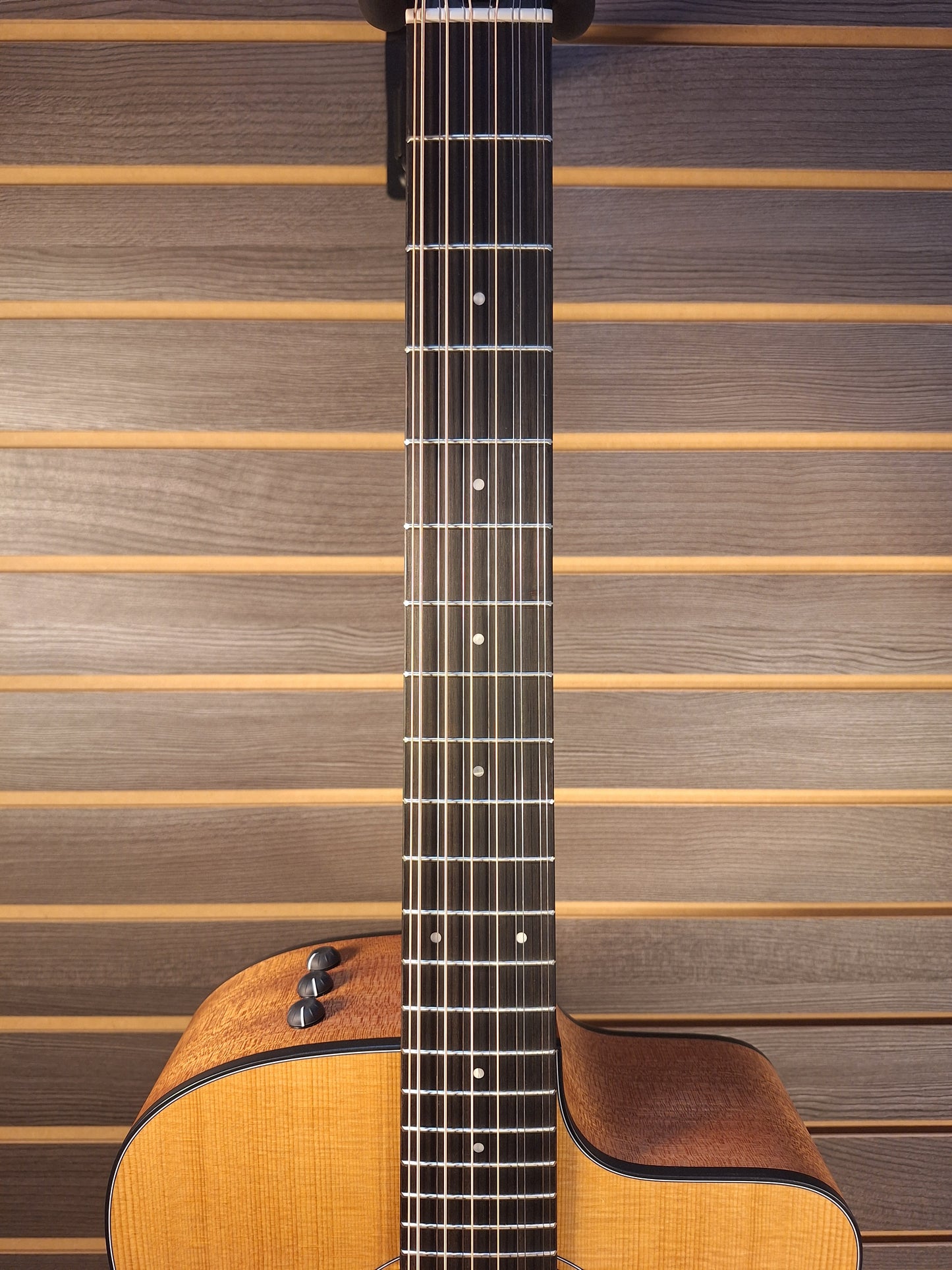 Taylor 150ce 12 string With Gig Bag