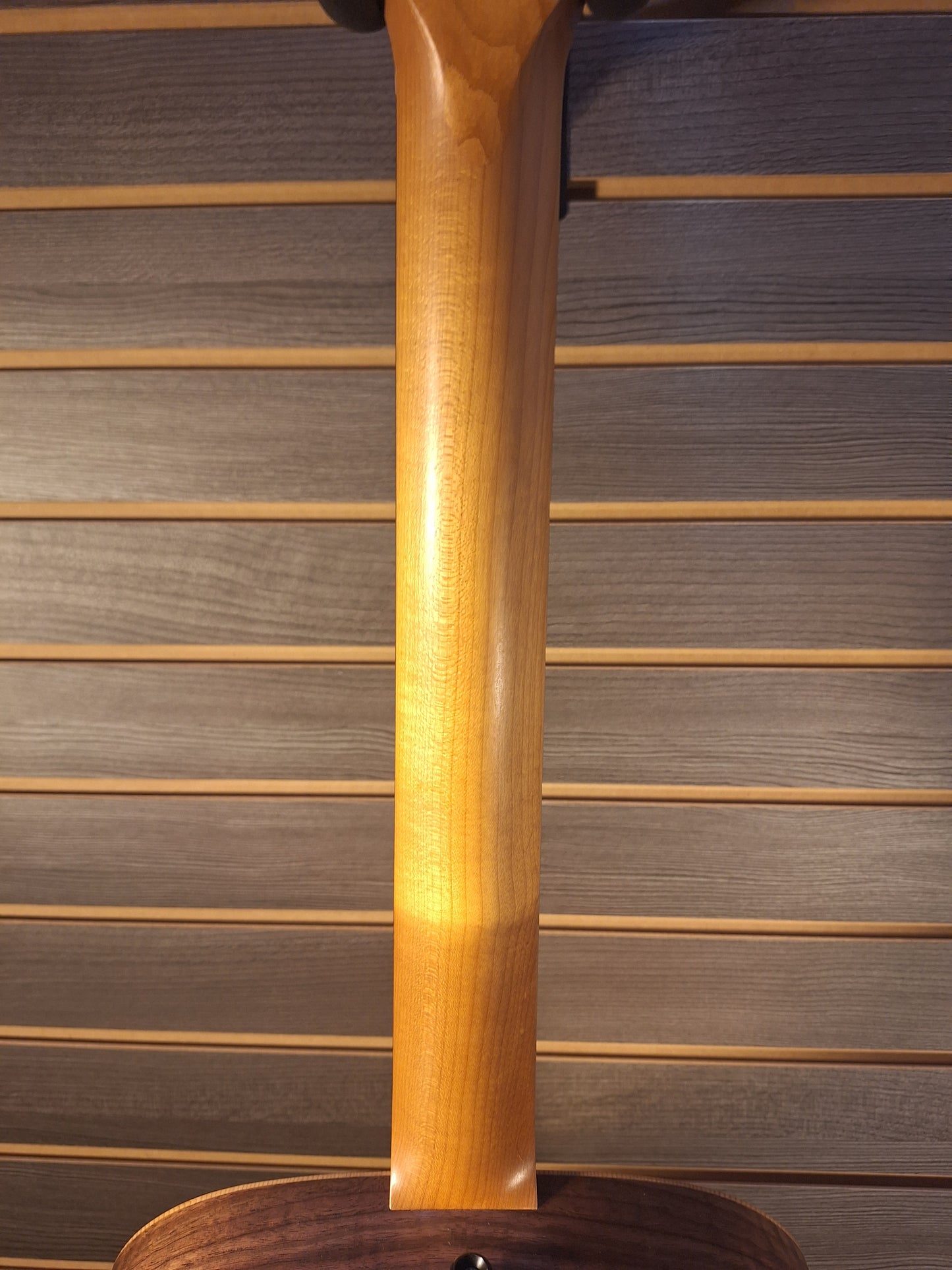 Taylor Big Baby Walnut BBT Acoustic Guitar With Premium Gig Bag