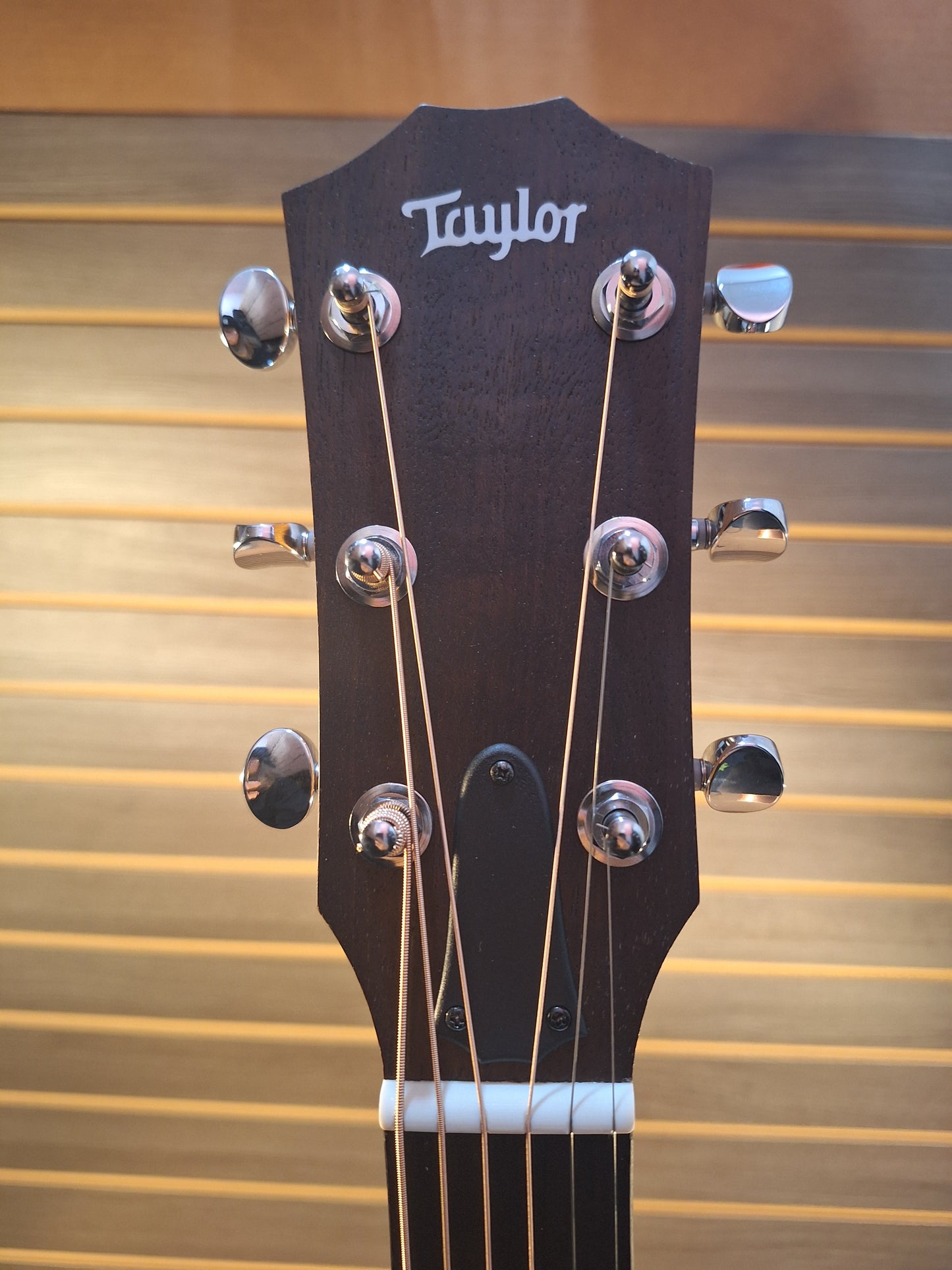 Taylor Big Baby Walnut BBT Acoustic Guitar With Premium Gig Bag
