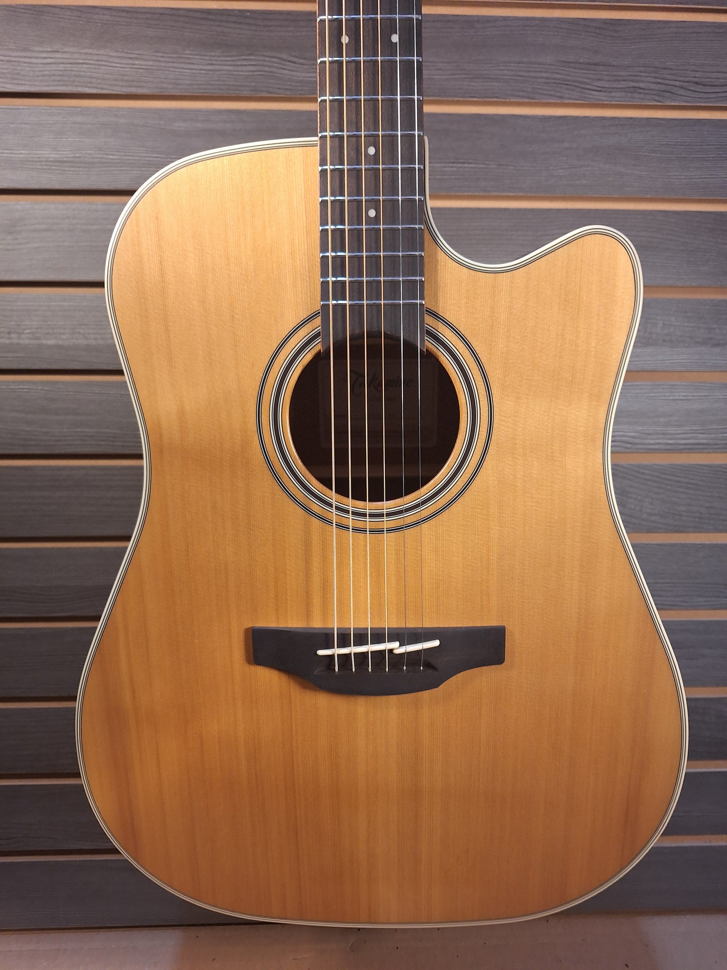 Takamine GD20CENS Acoustic Electric Guitar