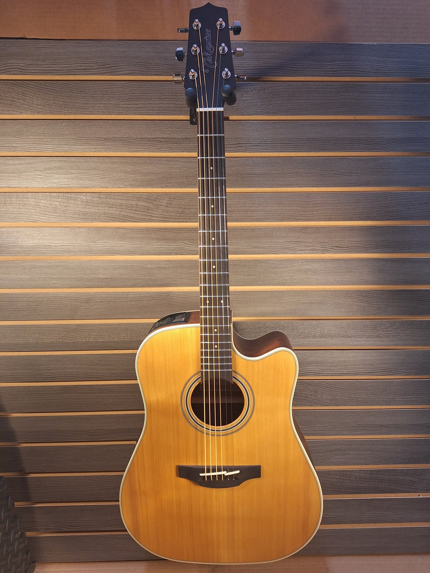 Takamine GD20CENS Acoustic Electric Guitar