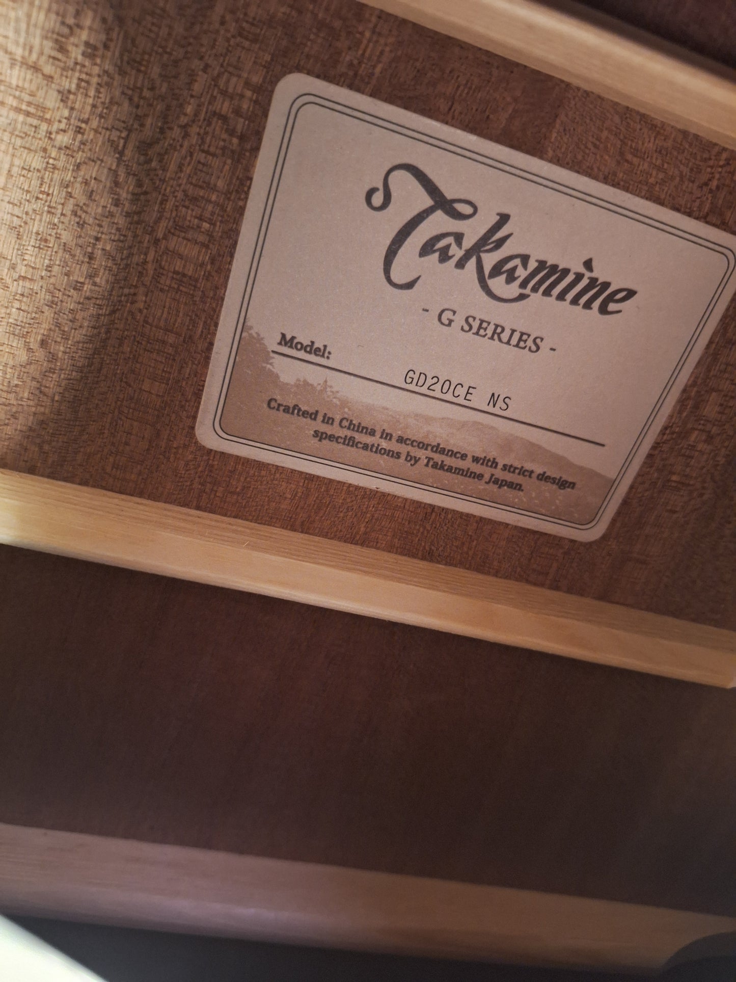 Takamine GD20CENS Acoustic Electric Guitar