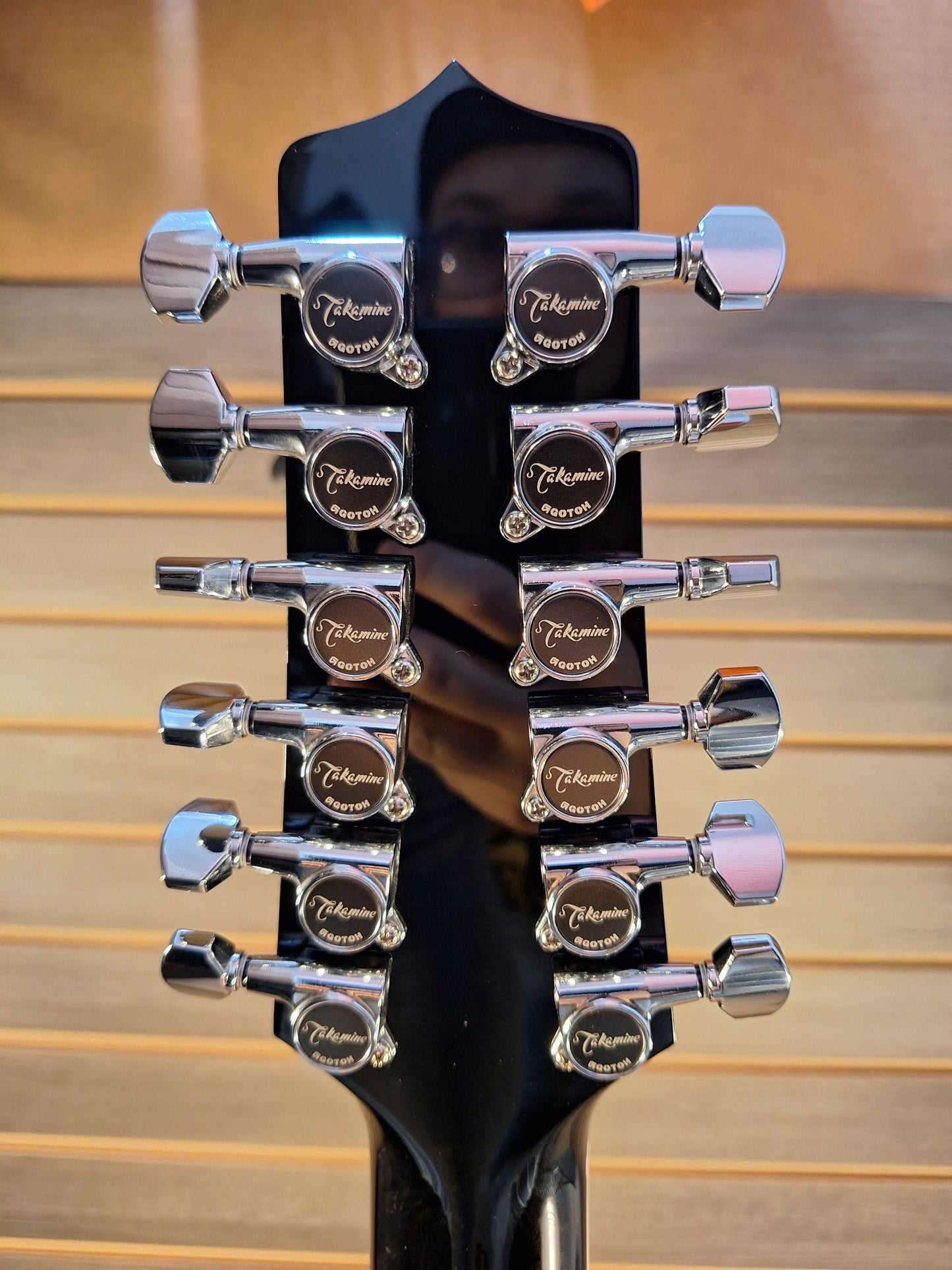 Takamine Legacy EF381SC Acoustic/Electric Guitar With Soft Case