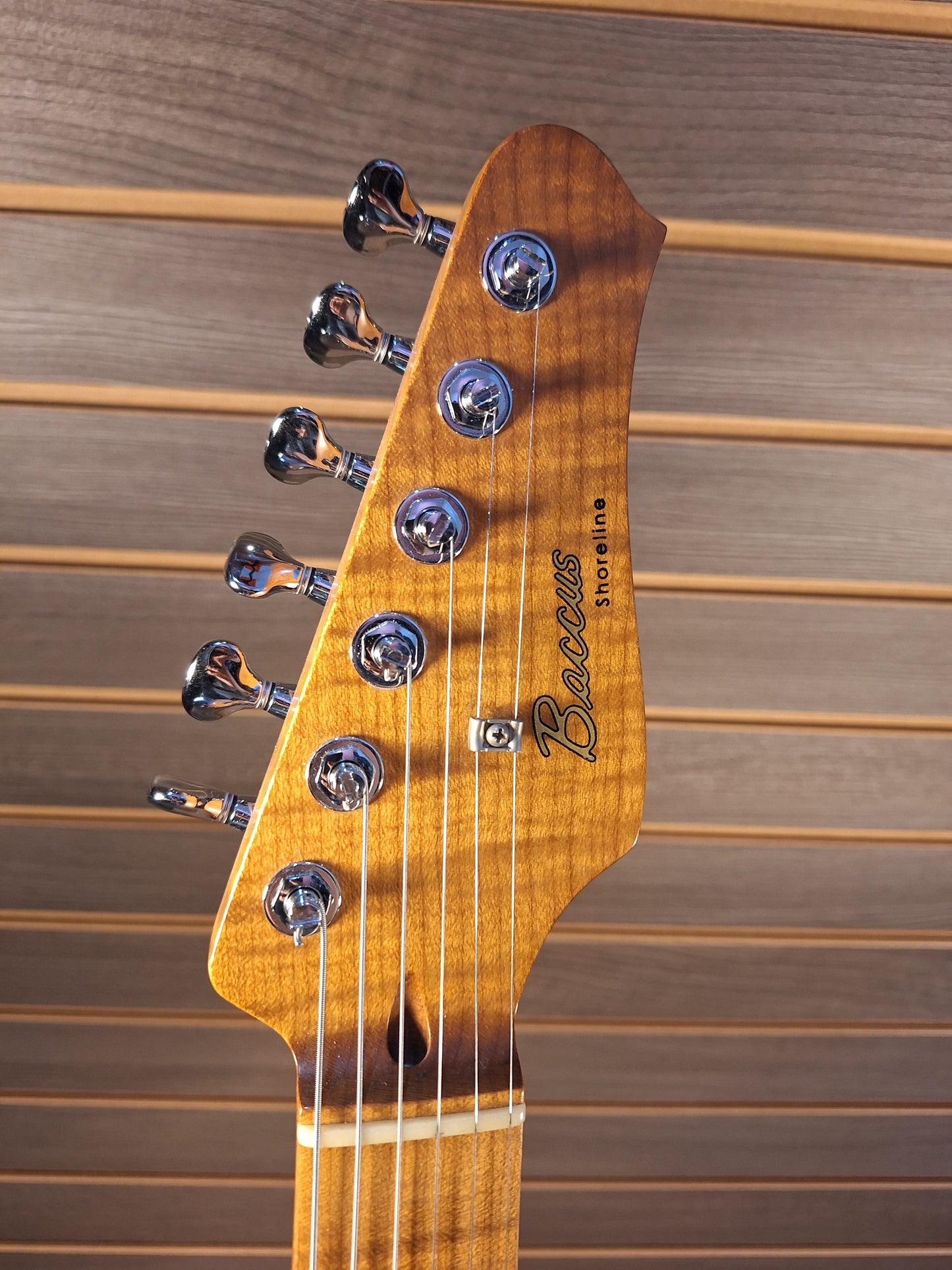 Seth Baccus 2019 Masterbuilt Shoreline T with hard case