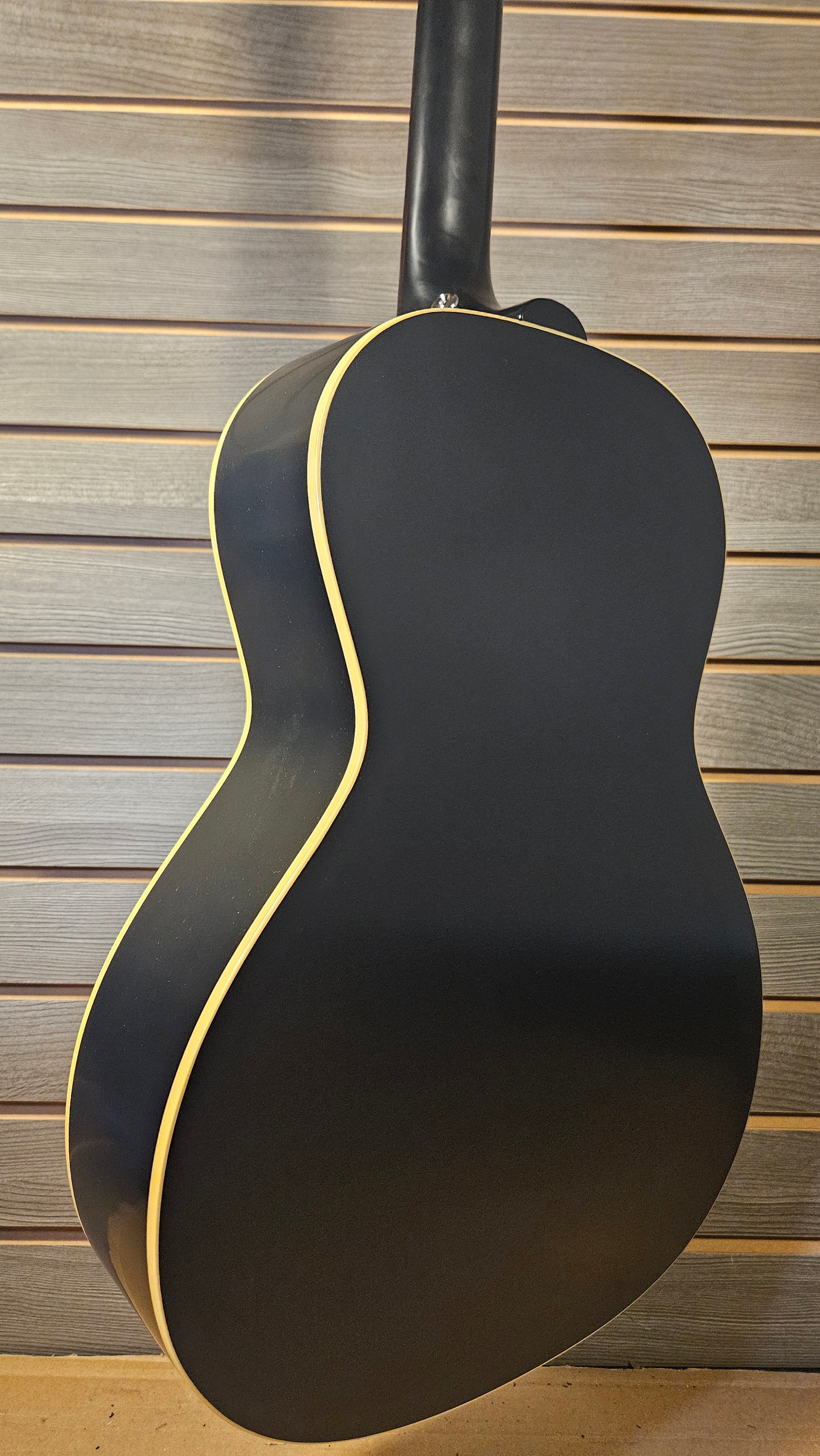 Epiphone L-00 Standard With Premium Gig Bag