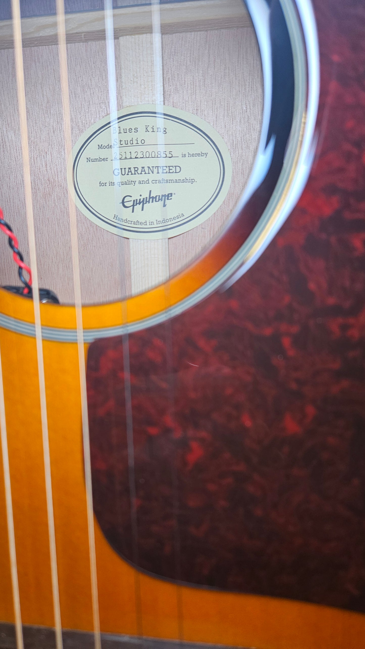 Epiphone Blues King Studio Acoustic Electric Gig Bag