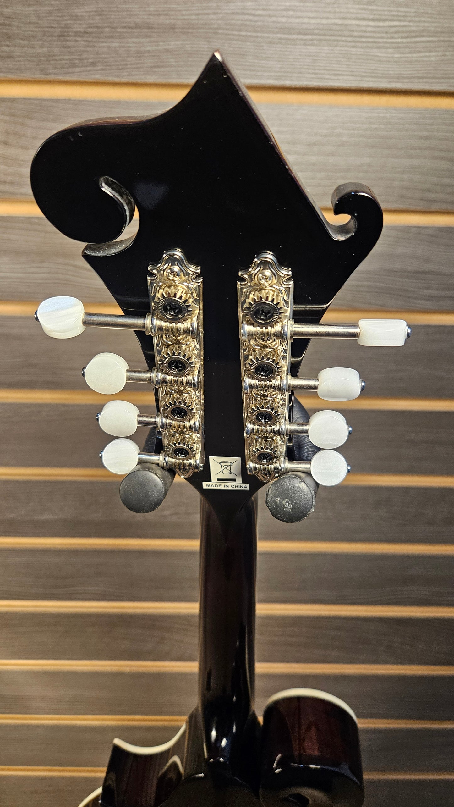 Epiphone F-5G Mandolin With Hard Case