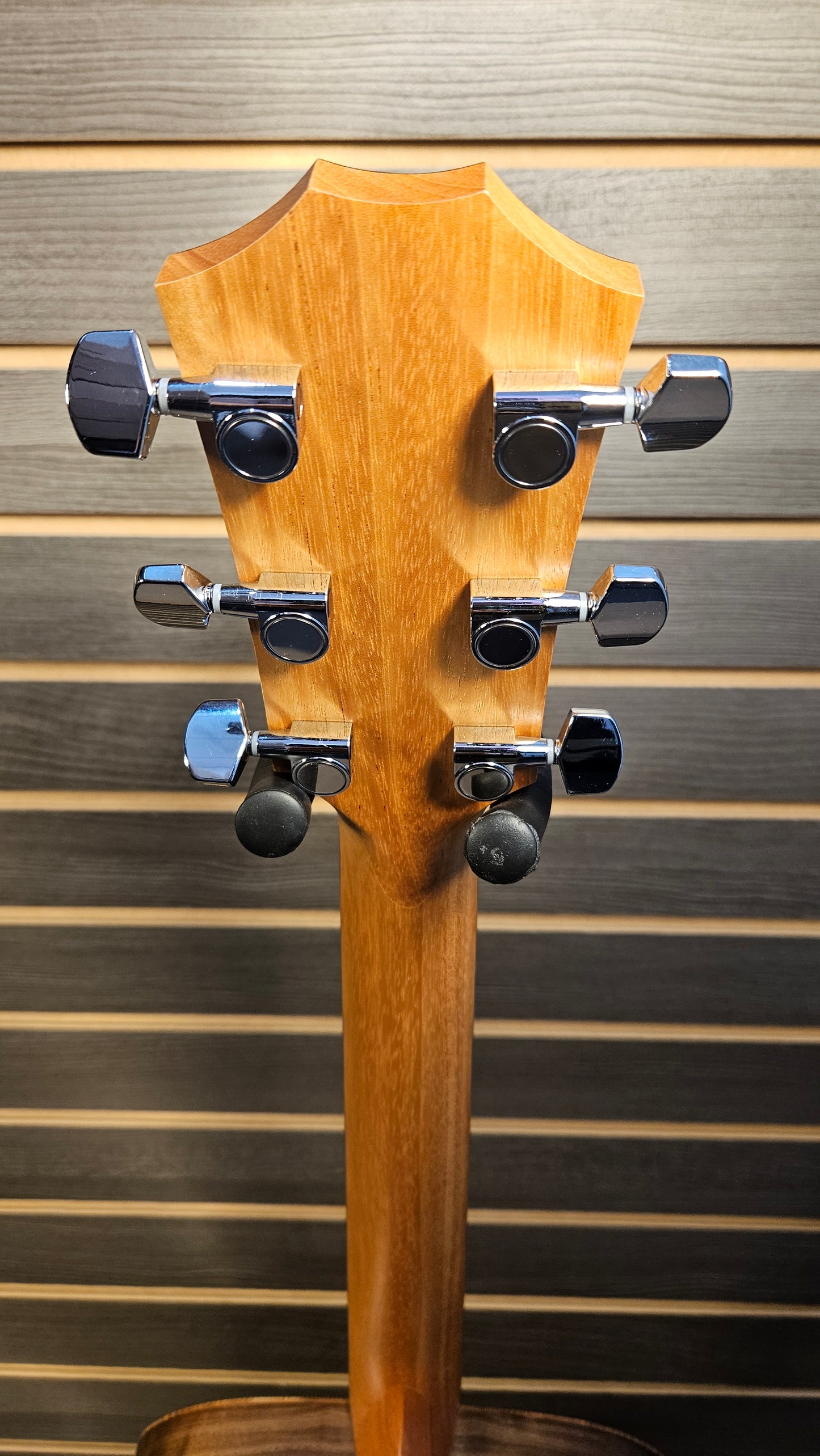 Taylor Academy 12e, Walnut Spruce Acoustic Guitar