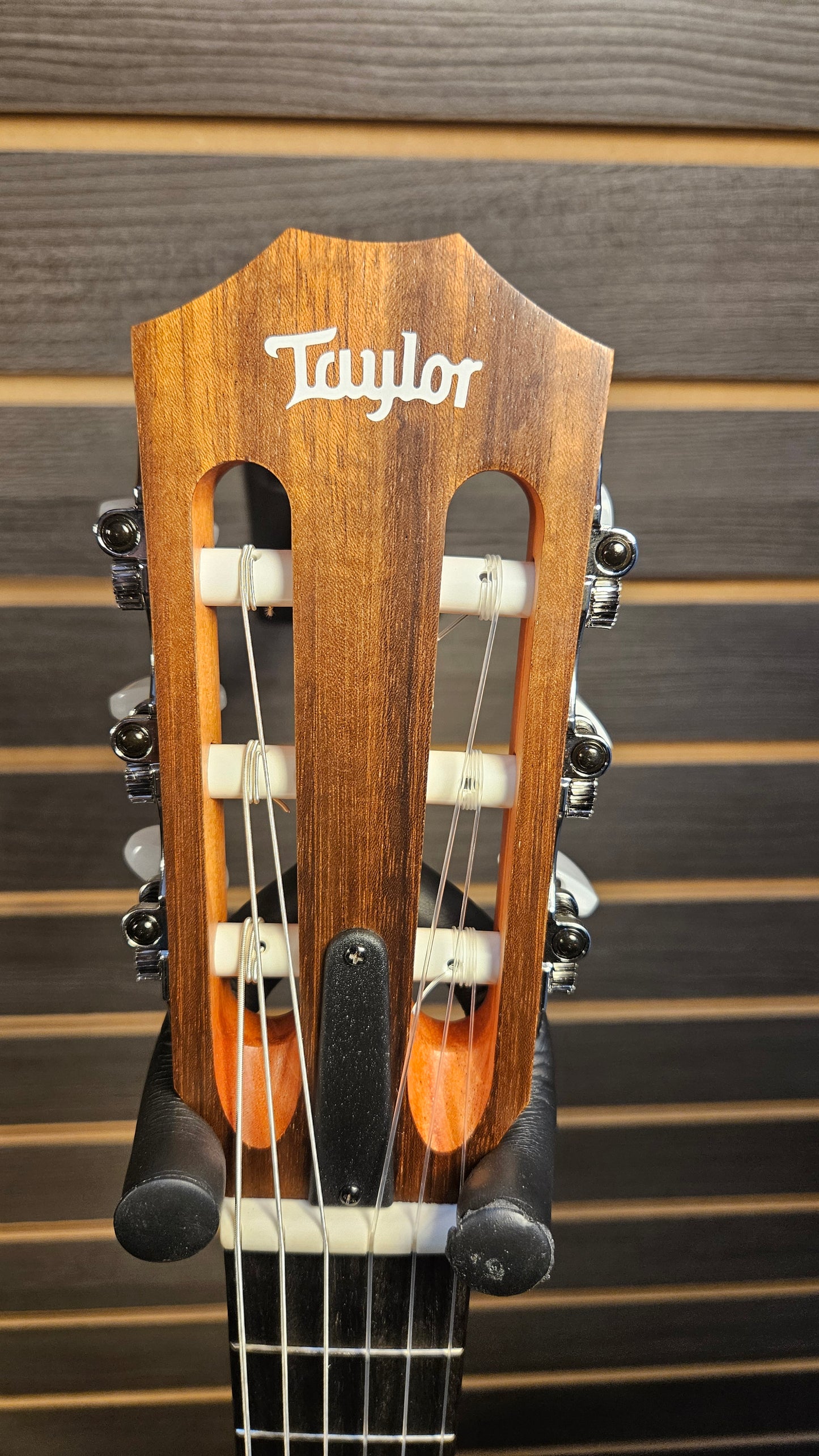 Taylor Academy 12e-n, Walnut/Spruce Nylon String Guitar
