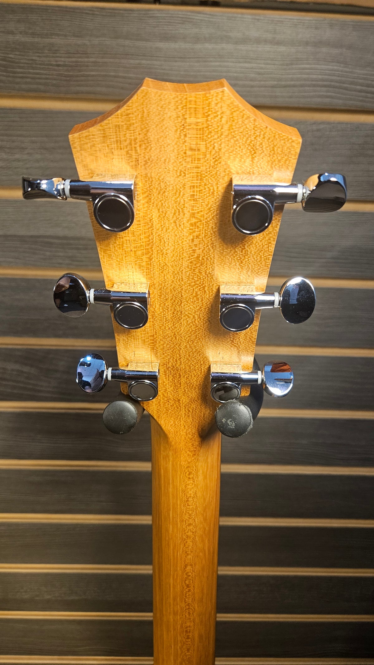 Taylor BBTe, Walnut Acoustic Guitar