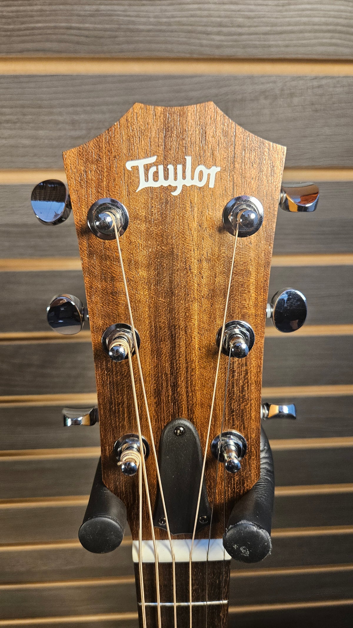 Taylor BBTe, Walnut Acoustic Guitar