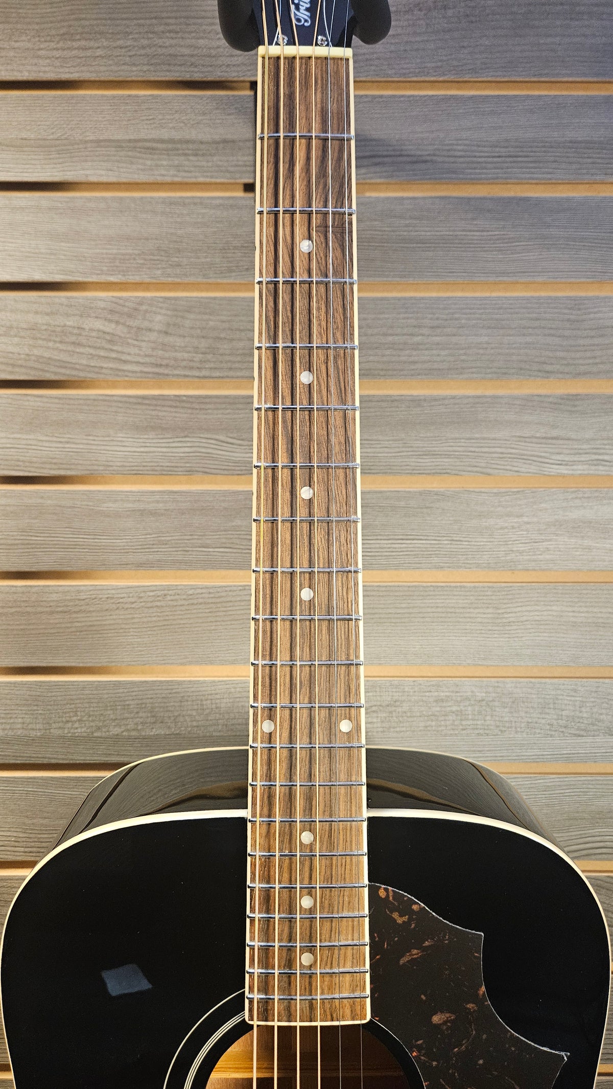 Epiphone Hummingbird Tribute Ebony