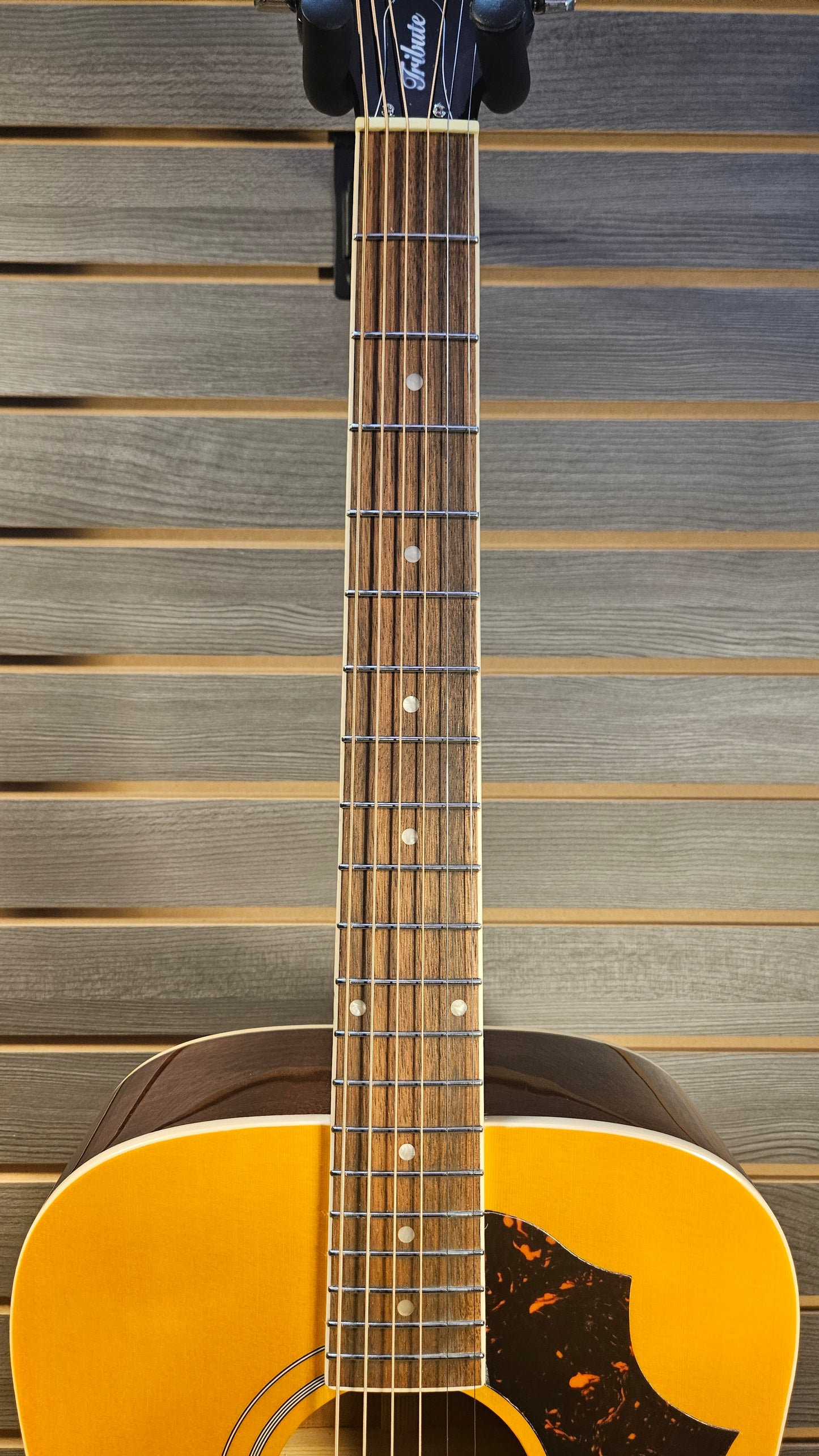 Epiphone Hummingbird Tribute Antique Natural (4628)