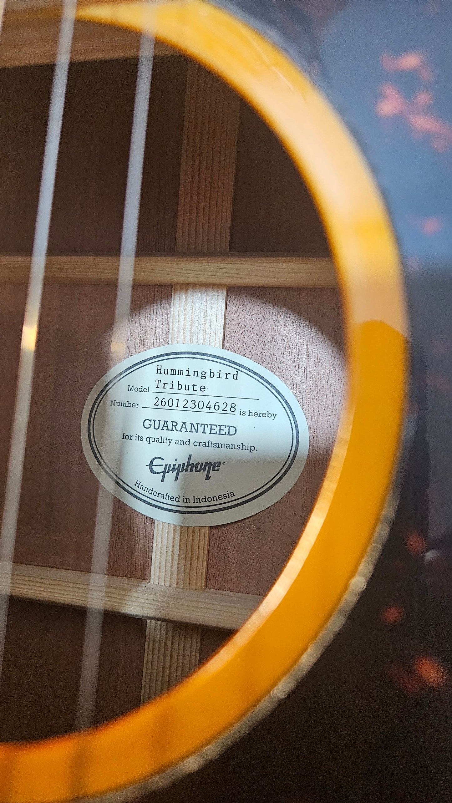 Epiphone Hummingbird Tribute Antique Natural (4628)