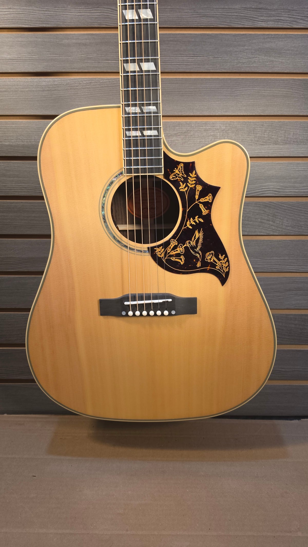 Epiphone IGC Hummingbird Deluxe EC, Natural