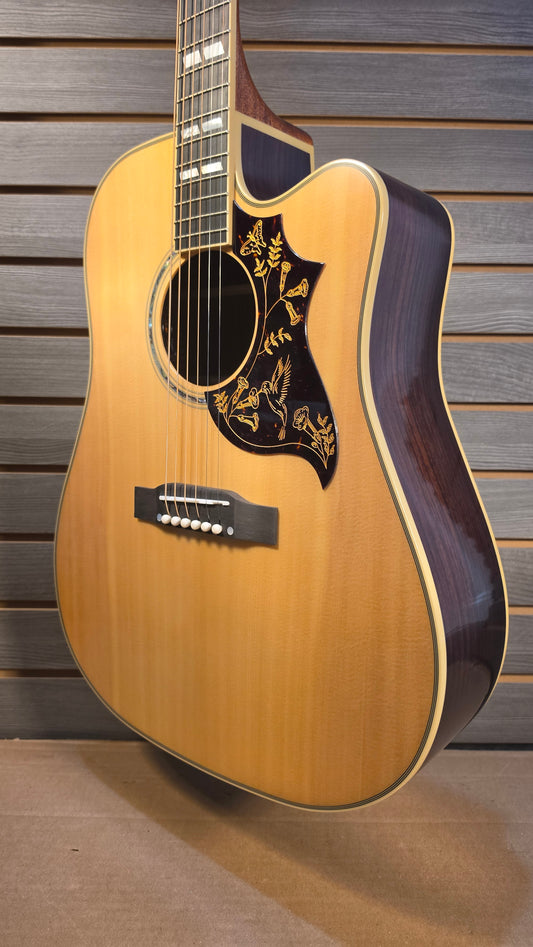 Epiphone IGC Hummingbird Deluxe EC, Natural