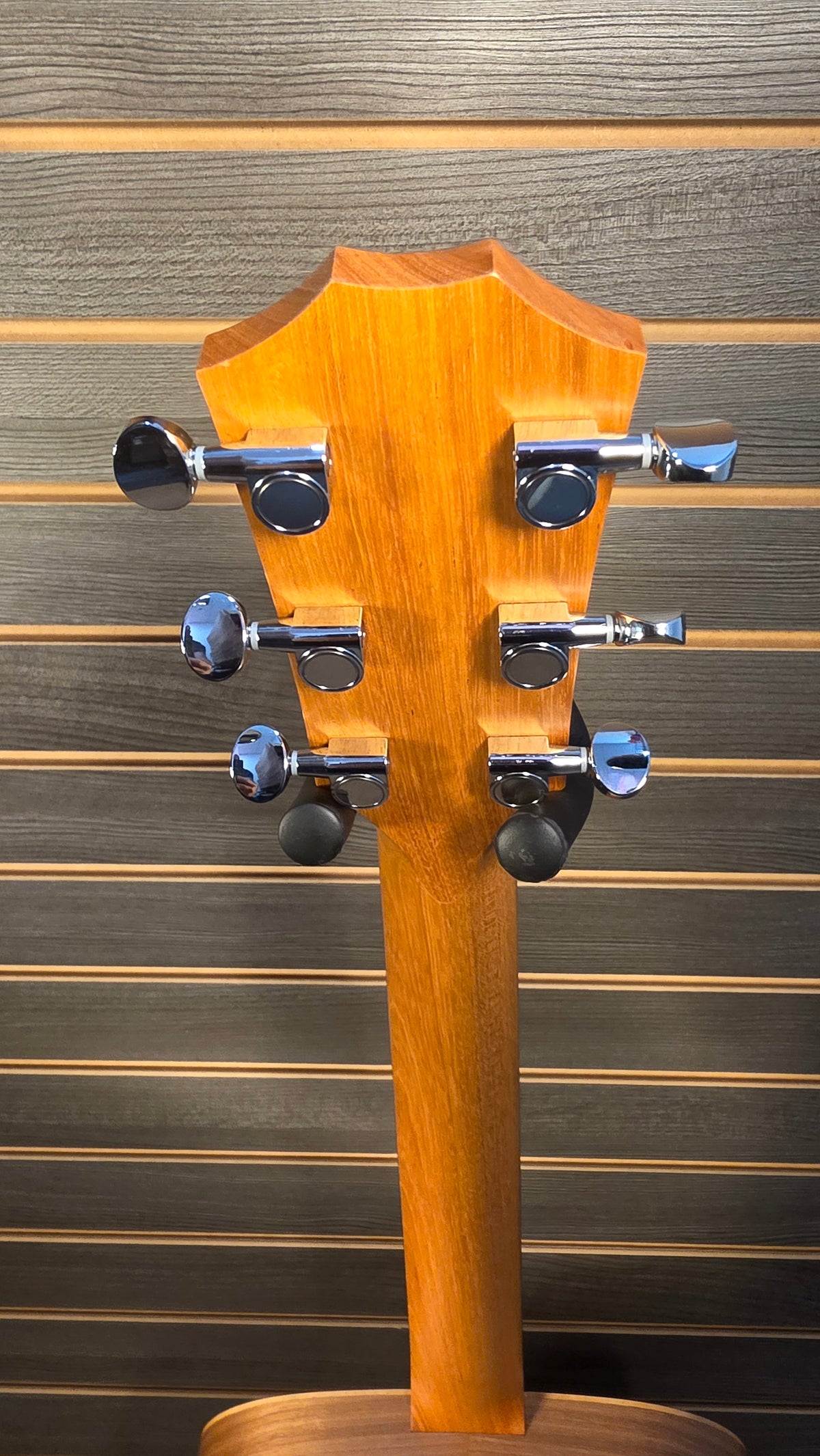 Taylor BBT Walnut Acoustic Guitar