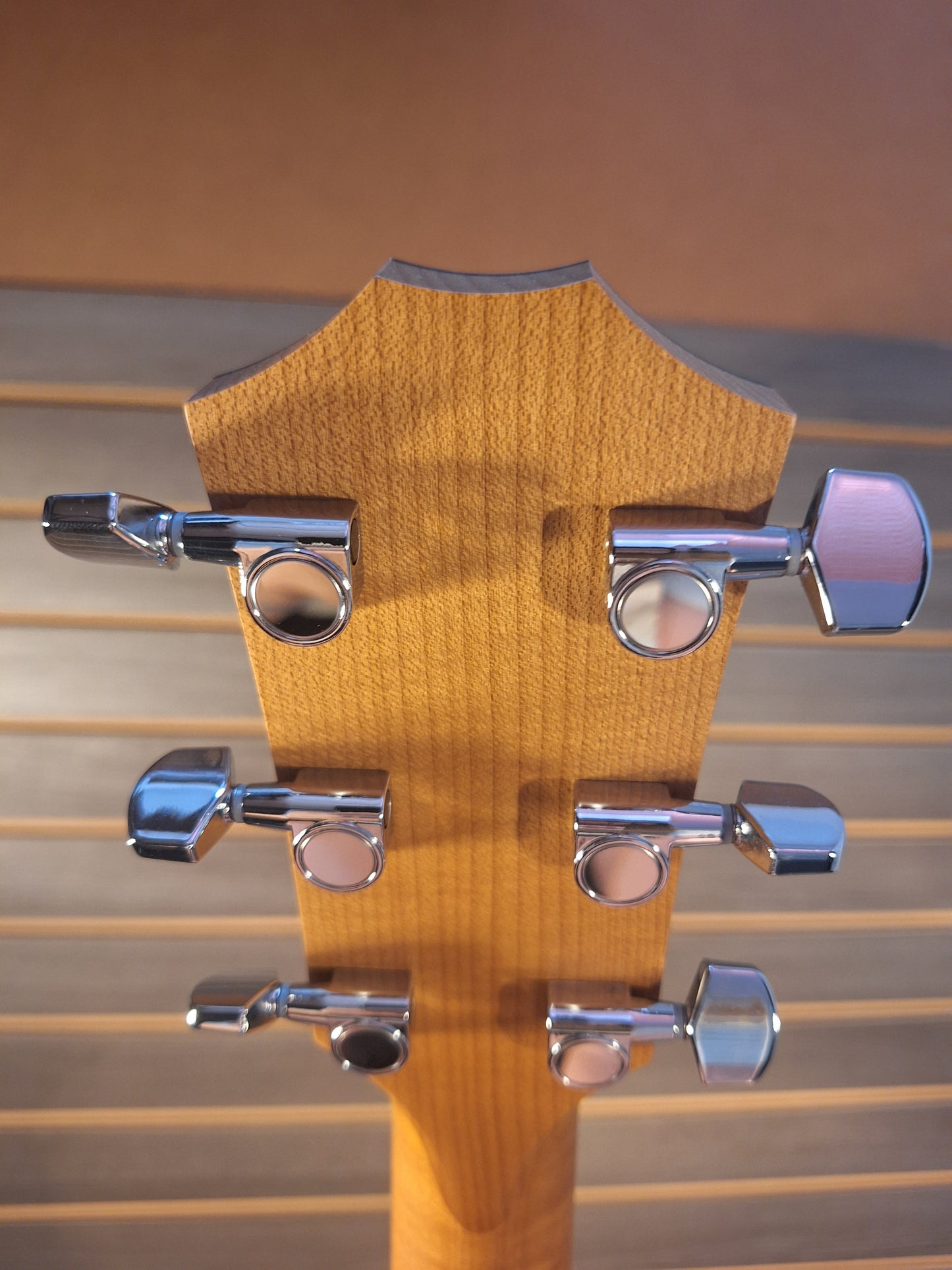 Taylor 114CE Acoustic/Electric Guitar