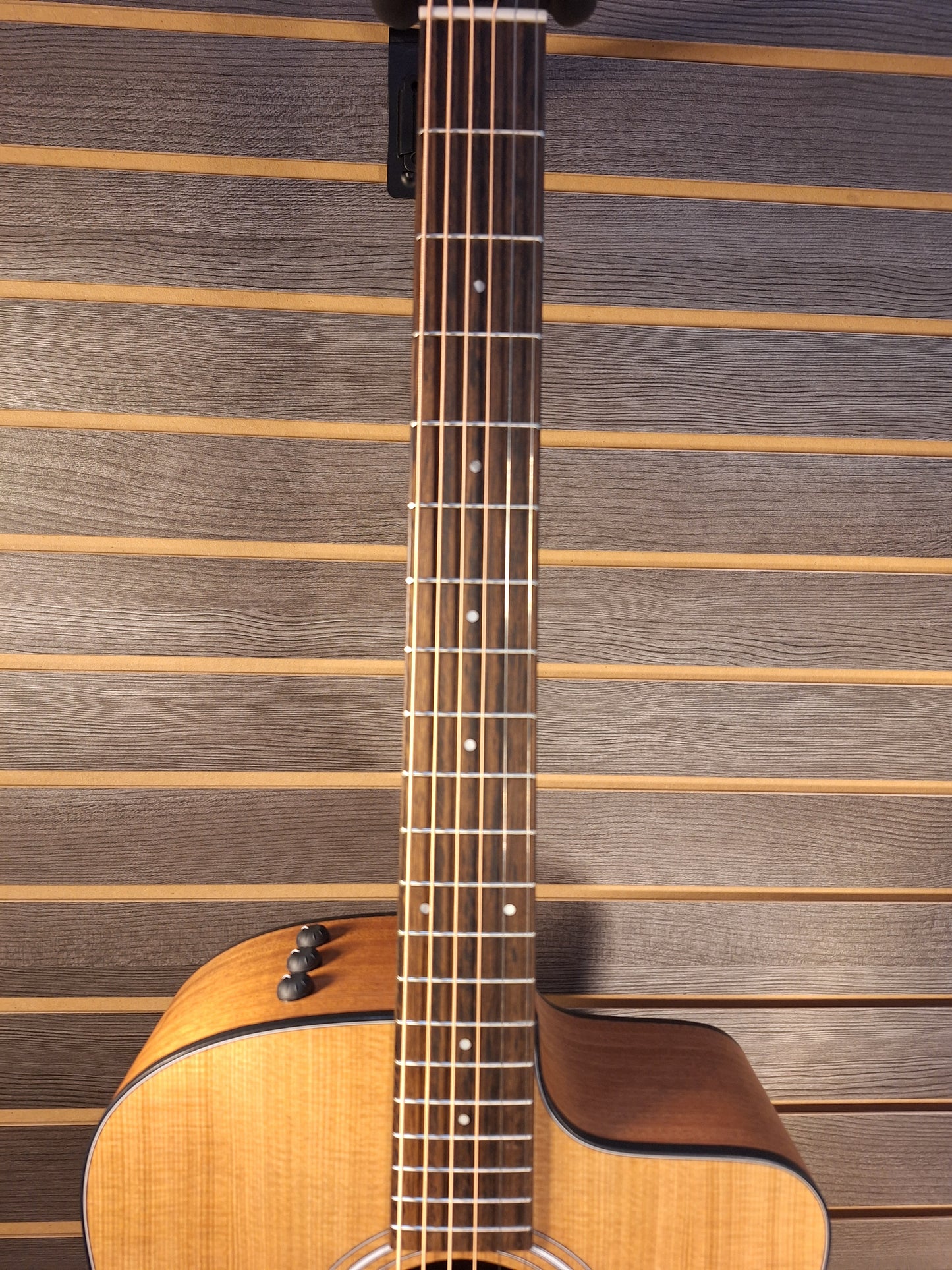 Taylor 110ce Acoustic/Electric Guitar