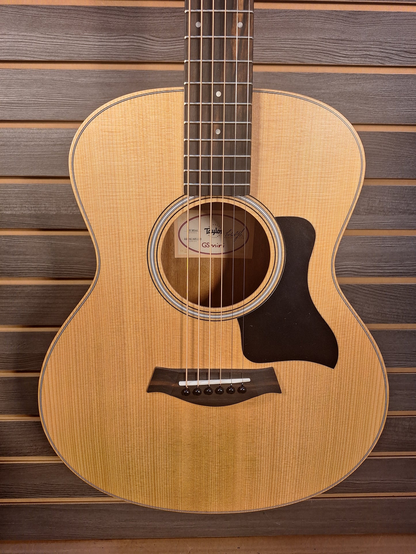 Taylor GS Mini Sapele  Acoustic Guitar