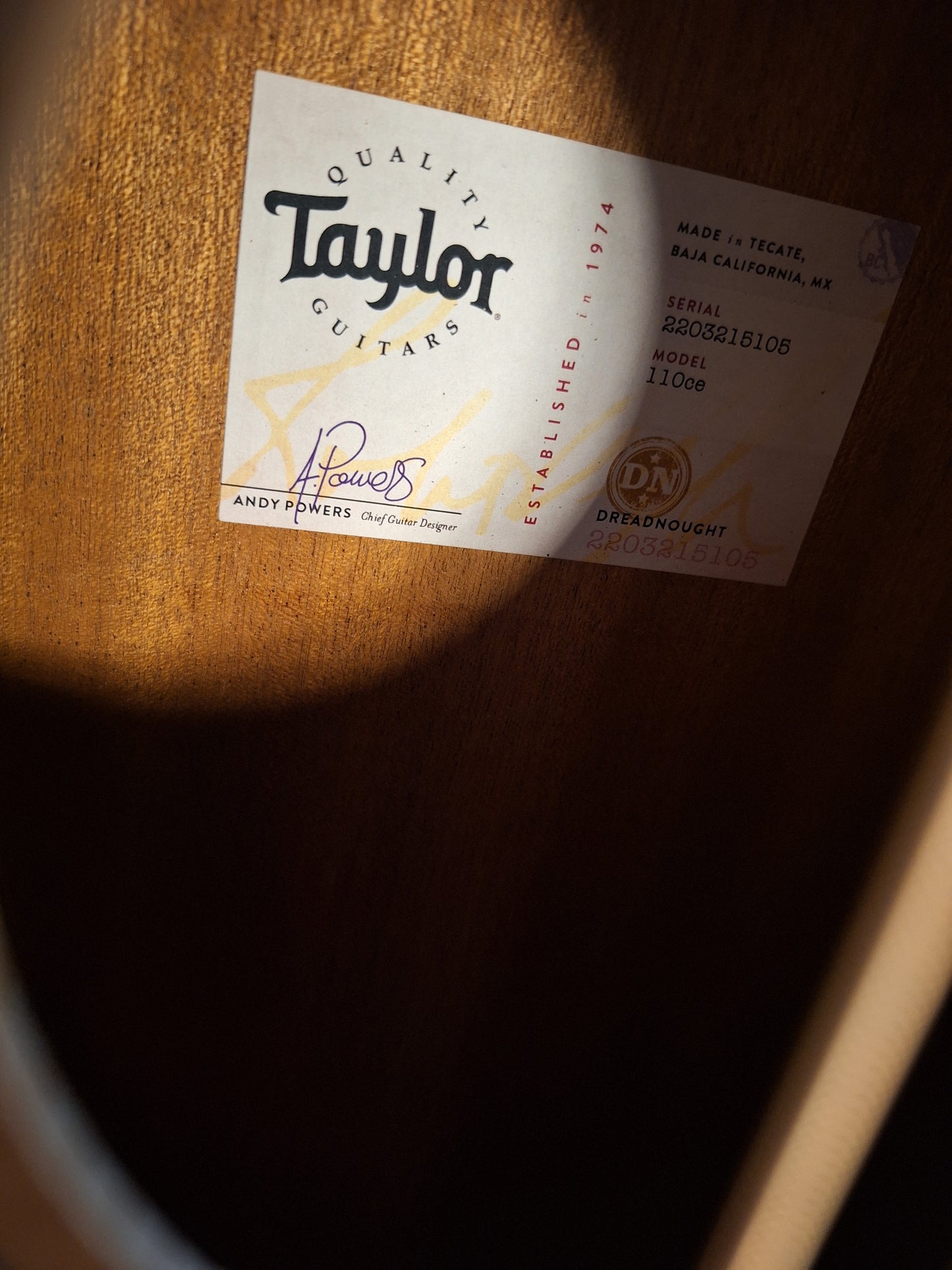 Taylor 110ce Acoustic/Electric Guitar