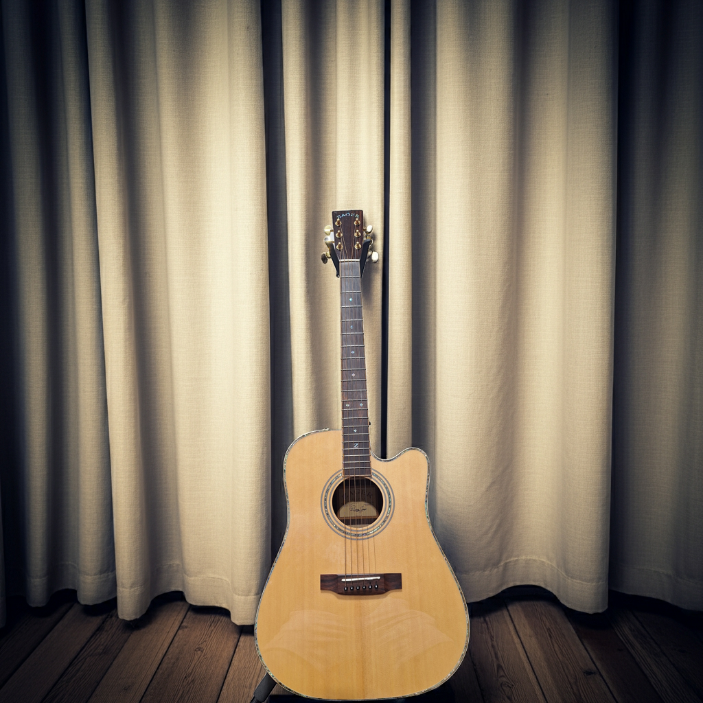 Used Zager 900ce Acoustic Electric Guitar With Hard Case