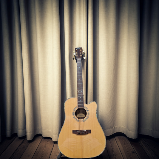 Used Zager 900ce Acoustic Electric Guitar With Hard Case