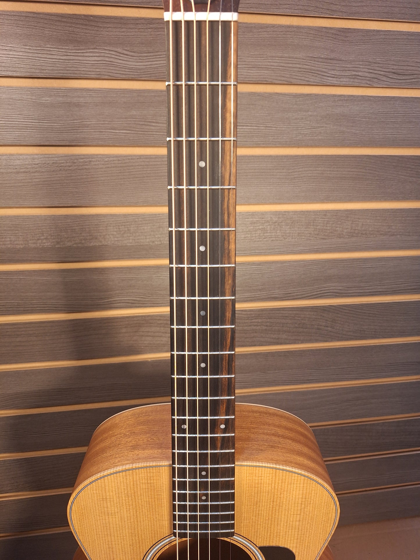 Taylor GS Mini Sapele  Acoustic Guitar